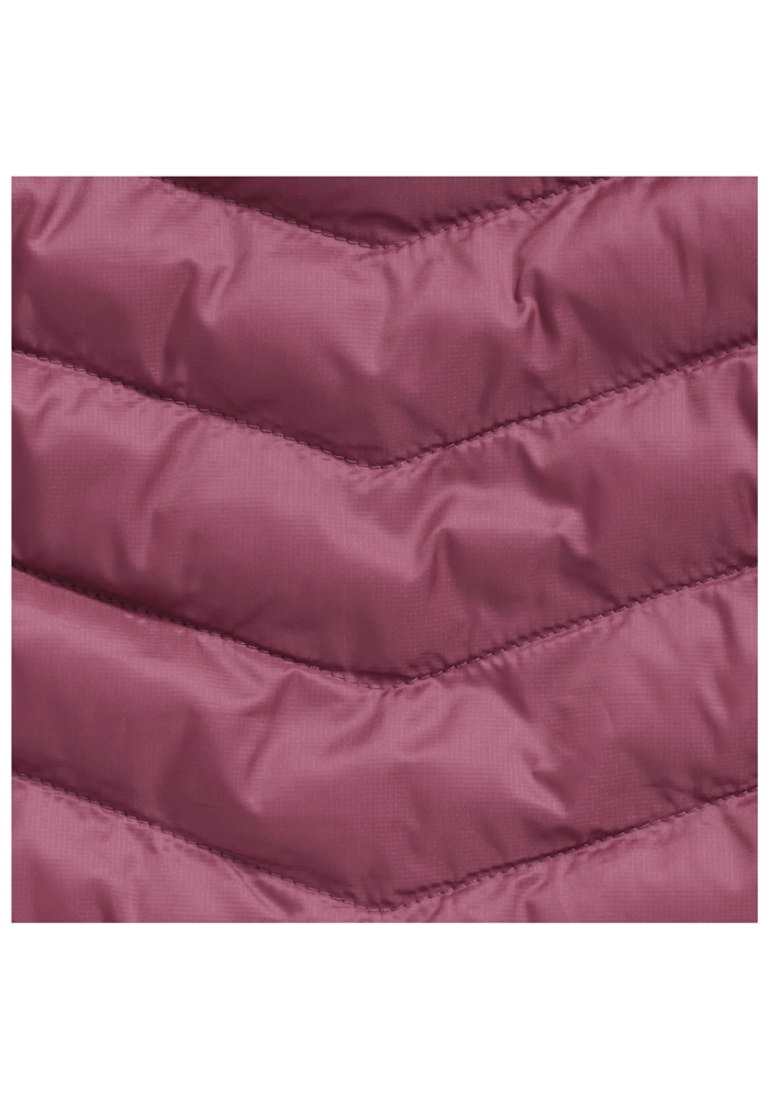 Jack Wolfskin Funktionsjacke »ROUTEBURN PRO INS JKT W«, mit Kapuze
