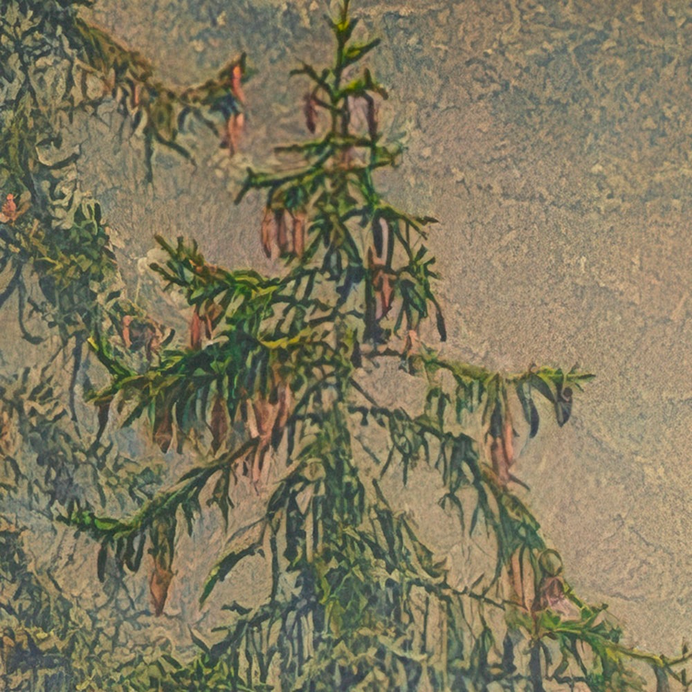 Komar Fototapete »Vlies Fototapete - Mystical Firs - Größe 400 x 250 cm« Motiv | bedruckt glatt