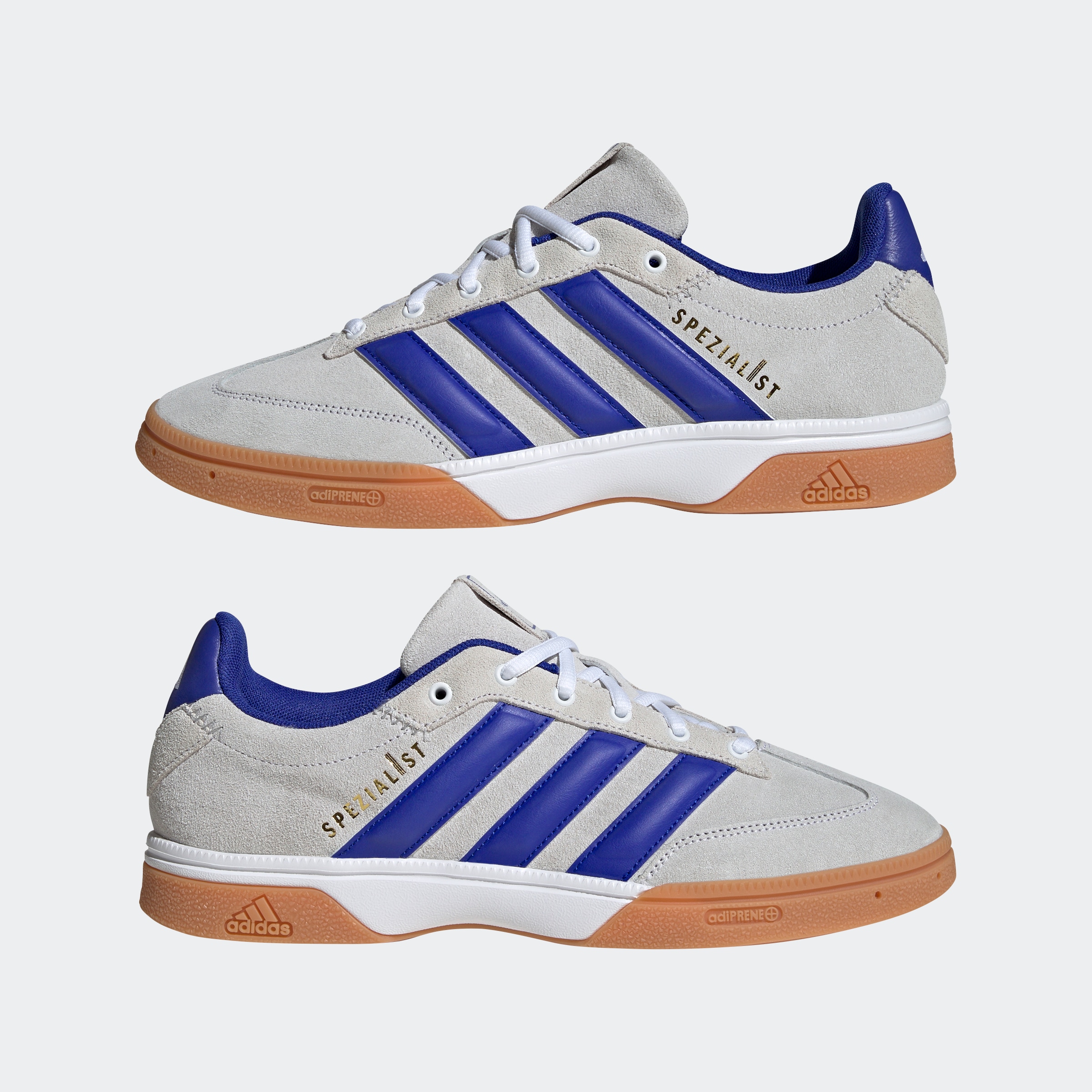 adidas Performance Hallenschuh »SPEZIALIST INDOOR«