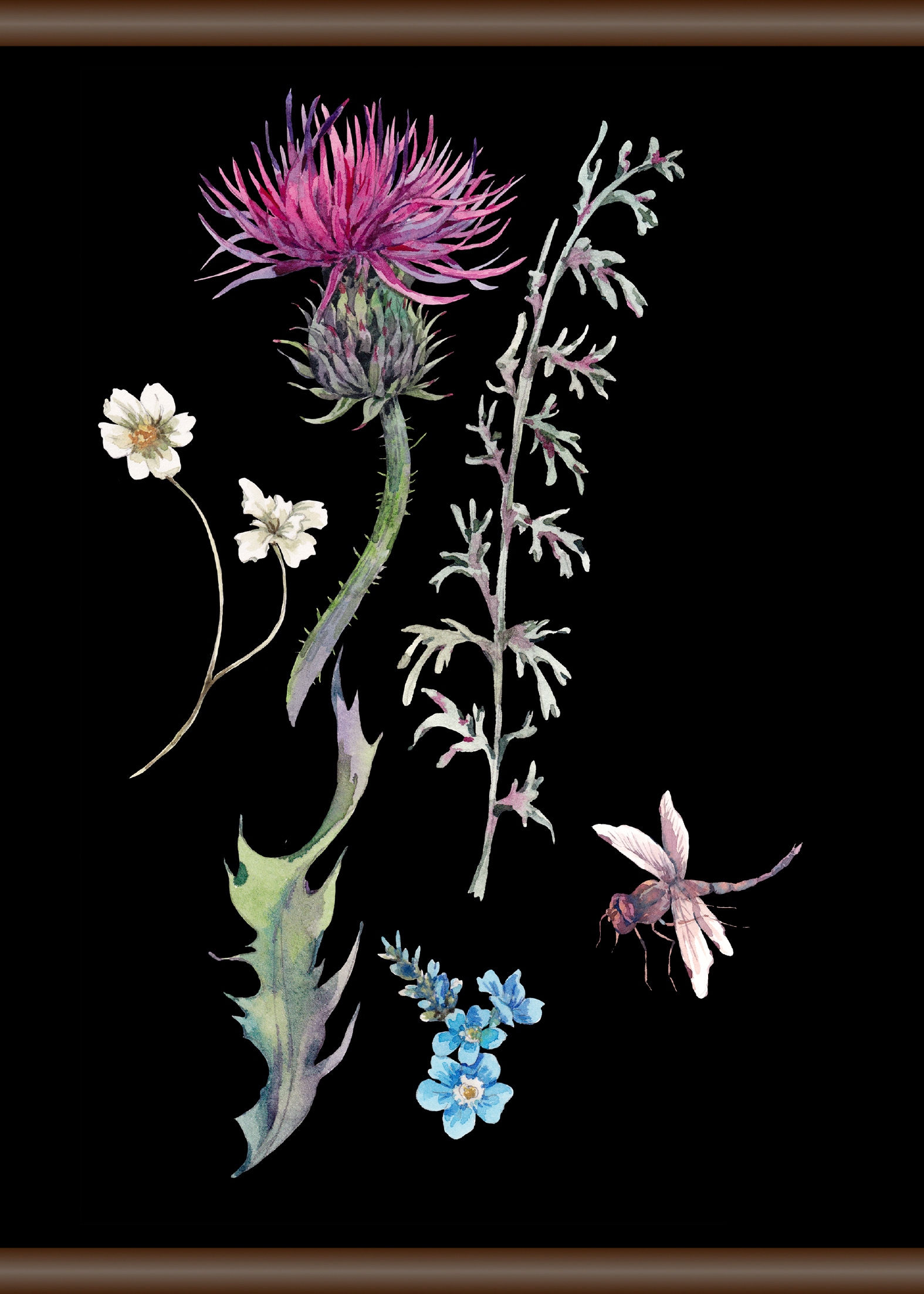 queence Leinwandbild "Pflanzen und Libellen", 50x70 cm