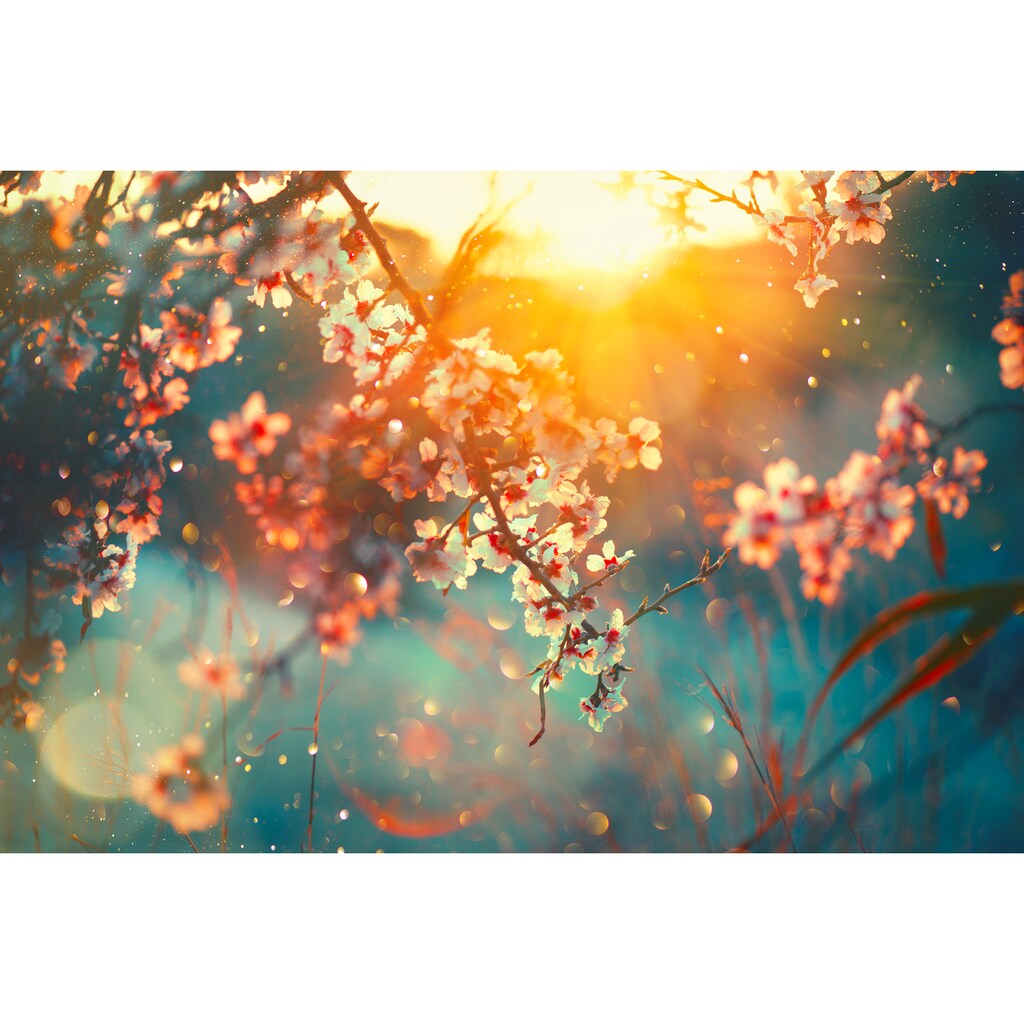 queence Leinwandbild »Cherry Blossom«, Blätter-Blätterbilder-Blumen-Blumenbilder-Bilder vom Sonnenuntergang & -aufgang, (1 St.), Akustikbild mit sehr guten Schallabsorptions-Eigenschaften