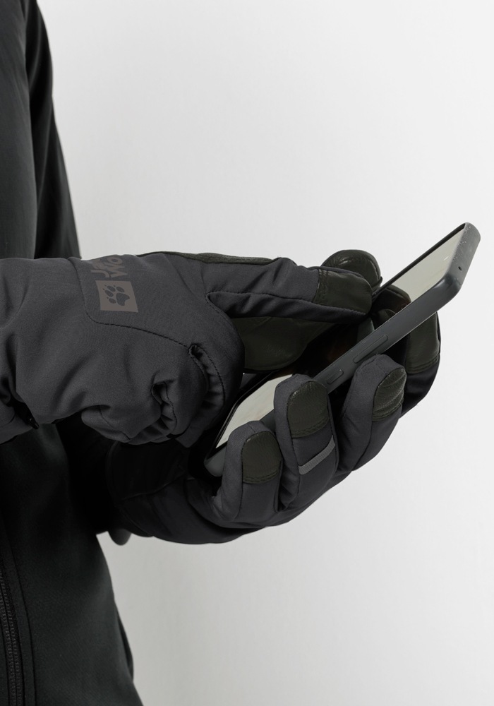 Jack Wolfskin Skihandschuhe "ALPSPITZE MERINO GLOVE" günstig online kaufen