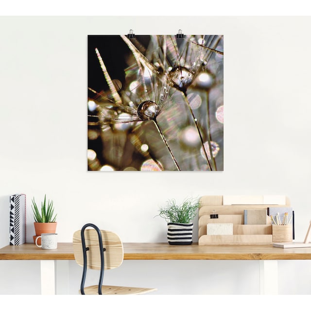 Artland Wandbild »Pusteblume abstrakt«, Blumen, (1 St.), als Alubild,  Leinwandbild, Wandaufkleber oder Poster in versch. Größen bestellen | BAUR