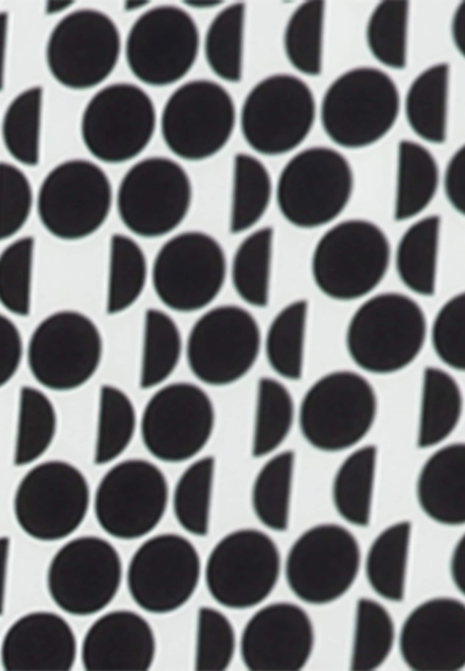seidensticker Sommerkleid »Schwarze Rose«, Langarm Kragen Druck