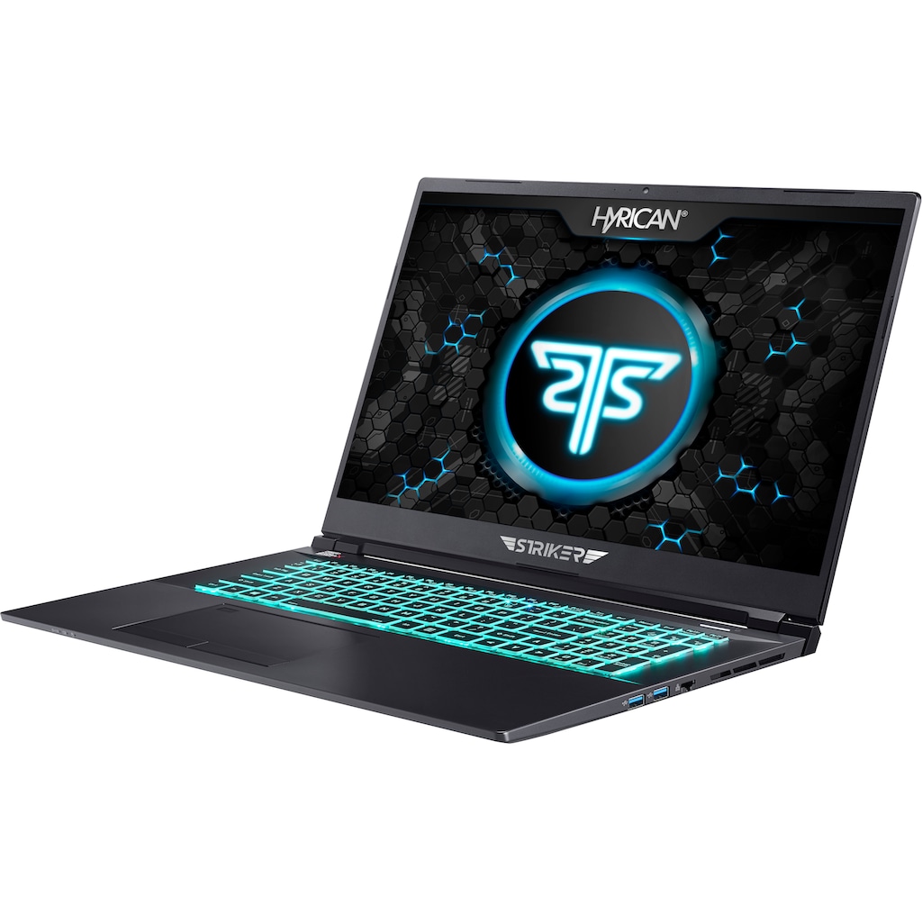 Hyrican Gaming-Notebook »Striker 1674«, 43,94 cm, / 17,3 Zoll, Intel, Core i7, GeForce RTX 3080, 1000 GB SSD