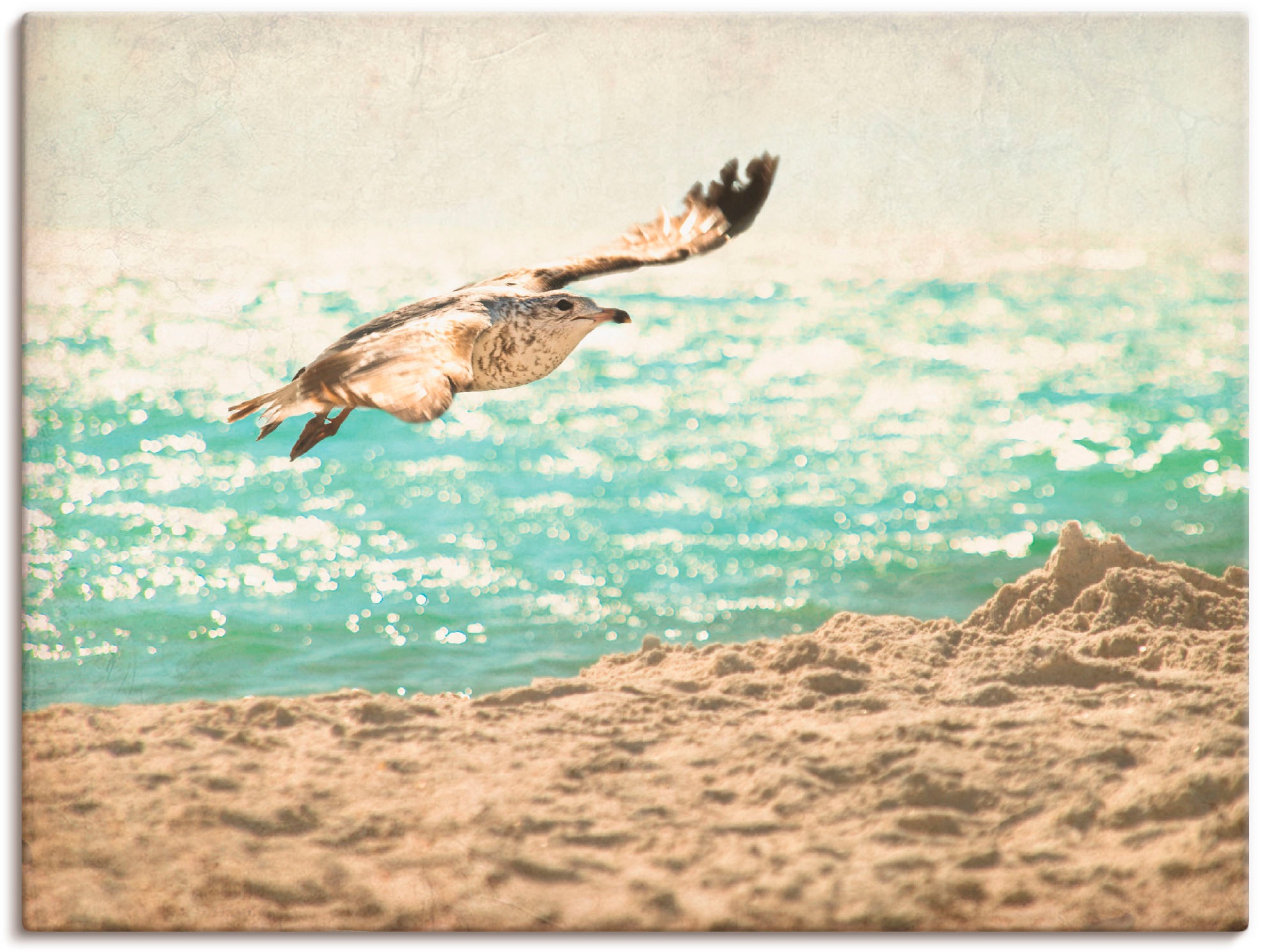 Artland Wandbild »Der Flug der Möwe«, Vögel, (1 St.), als Leinwandbild,  Wandaufkleber oder Poster in versch. Größen bestellen | BAUR