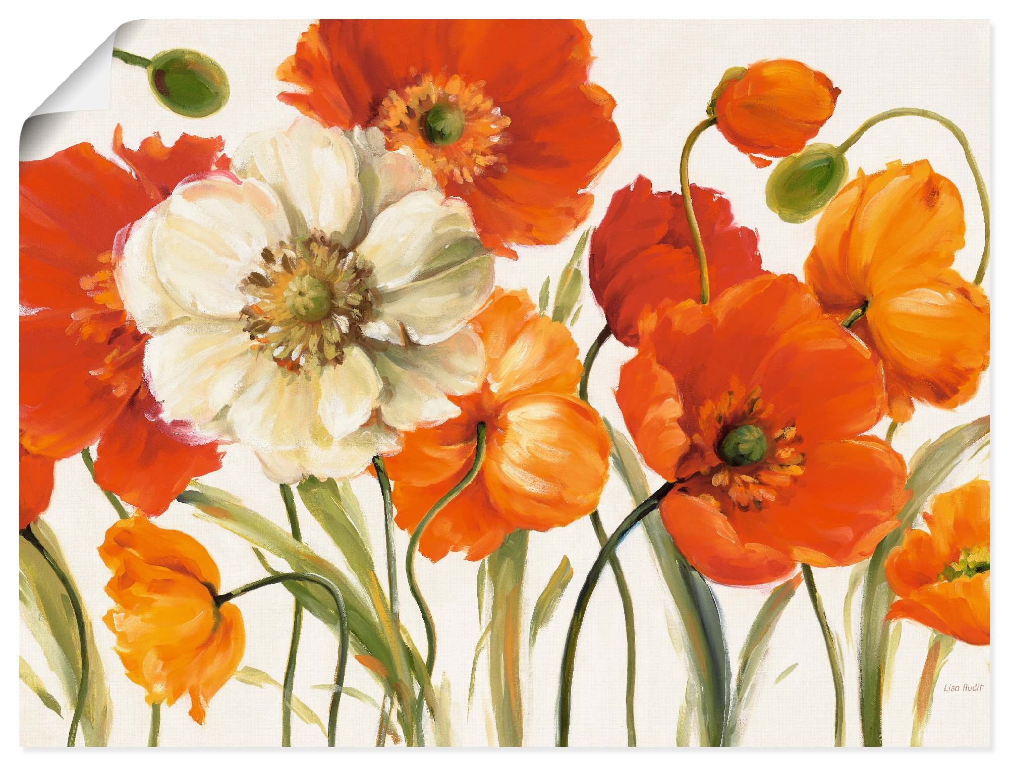Artland Wandbild "Mohnblumen I" Blumen 1 Stk. tlg. als Leinwandbild, Poster in verschied. Größen