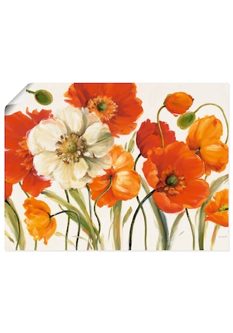 Wandbild »Mohnblumen I«, Blumen, (1 St.)