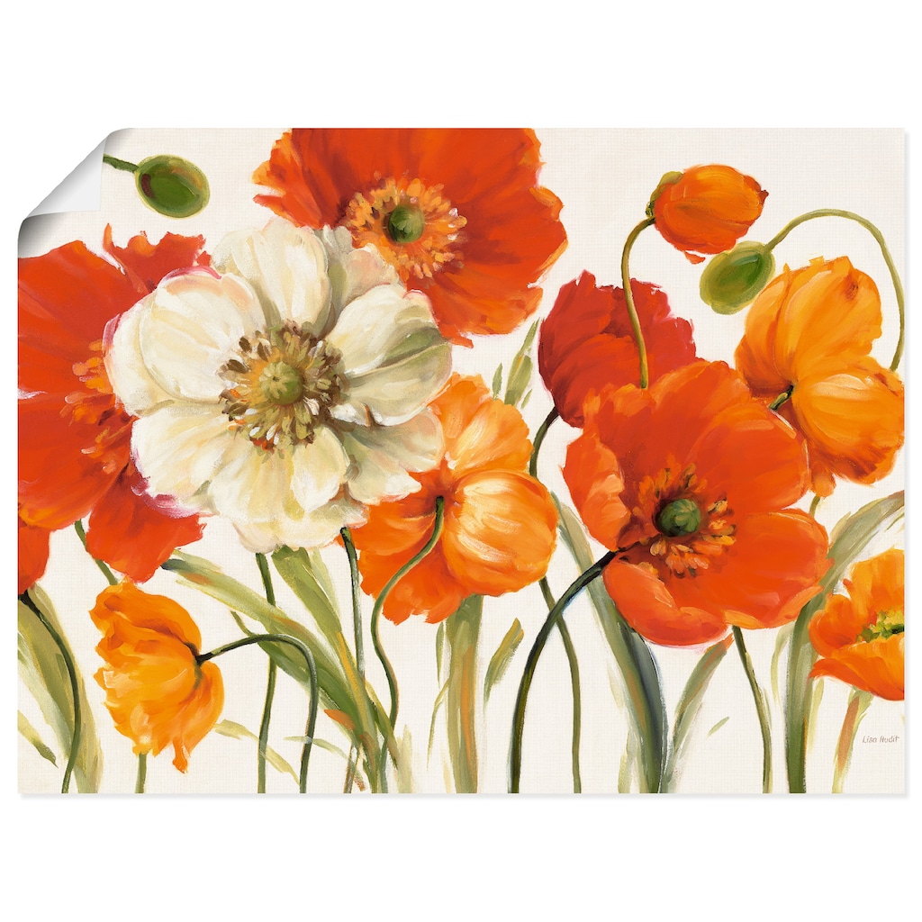 Artland Wandbild »Mohnblumen I«, Blumen, (1 St.), als Leinwandbild, Poster, Wandaufkleber in verschied. Größen