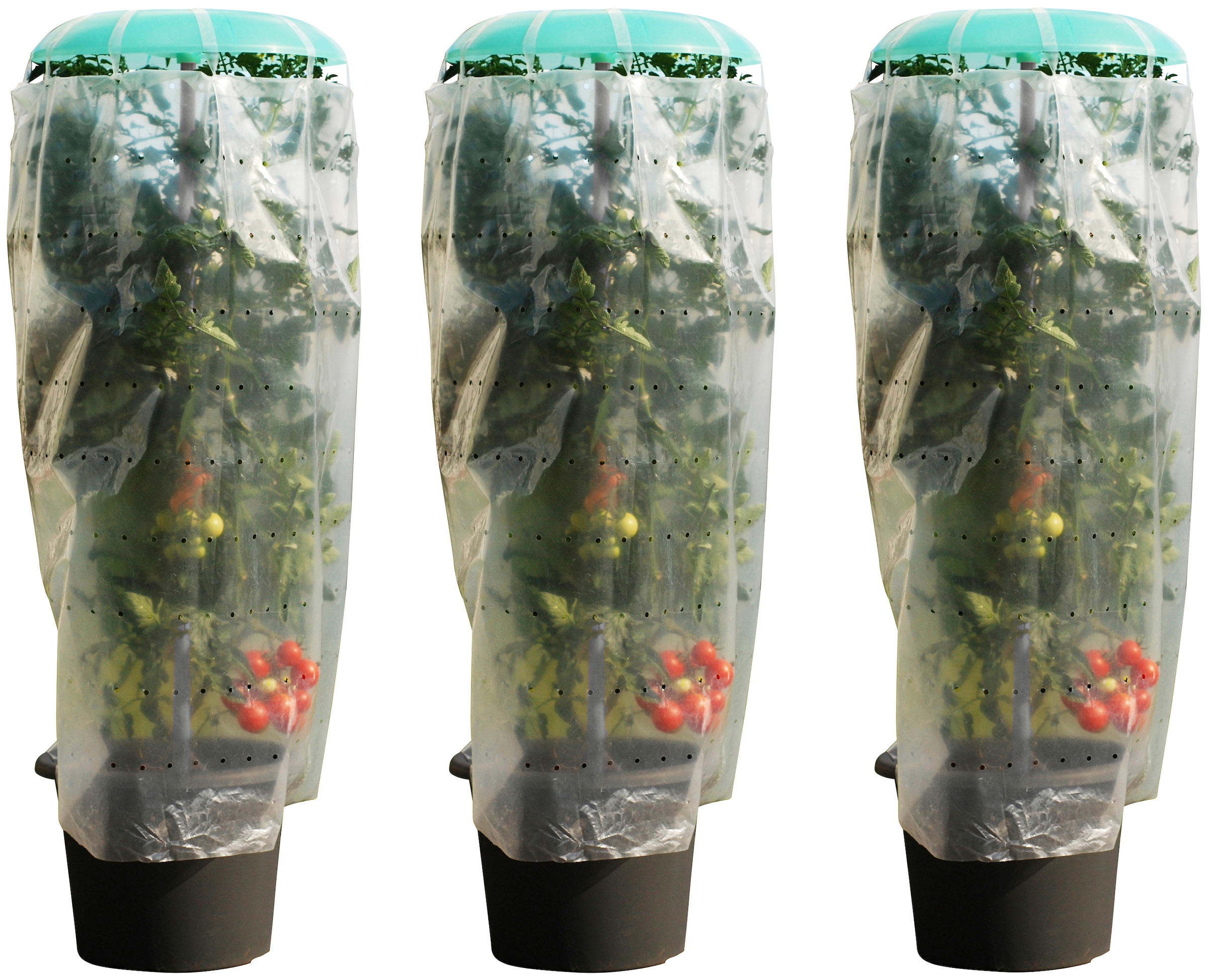 KHW Pflanzenschutzdach "Tomatenhut" inkl. Stab und Schutzfolie, BxH: 49x120 günstig online kaufen