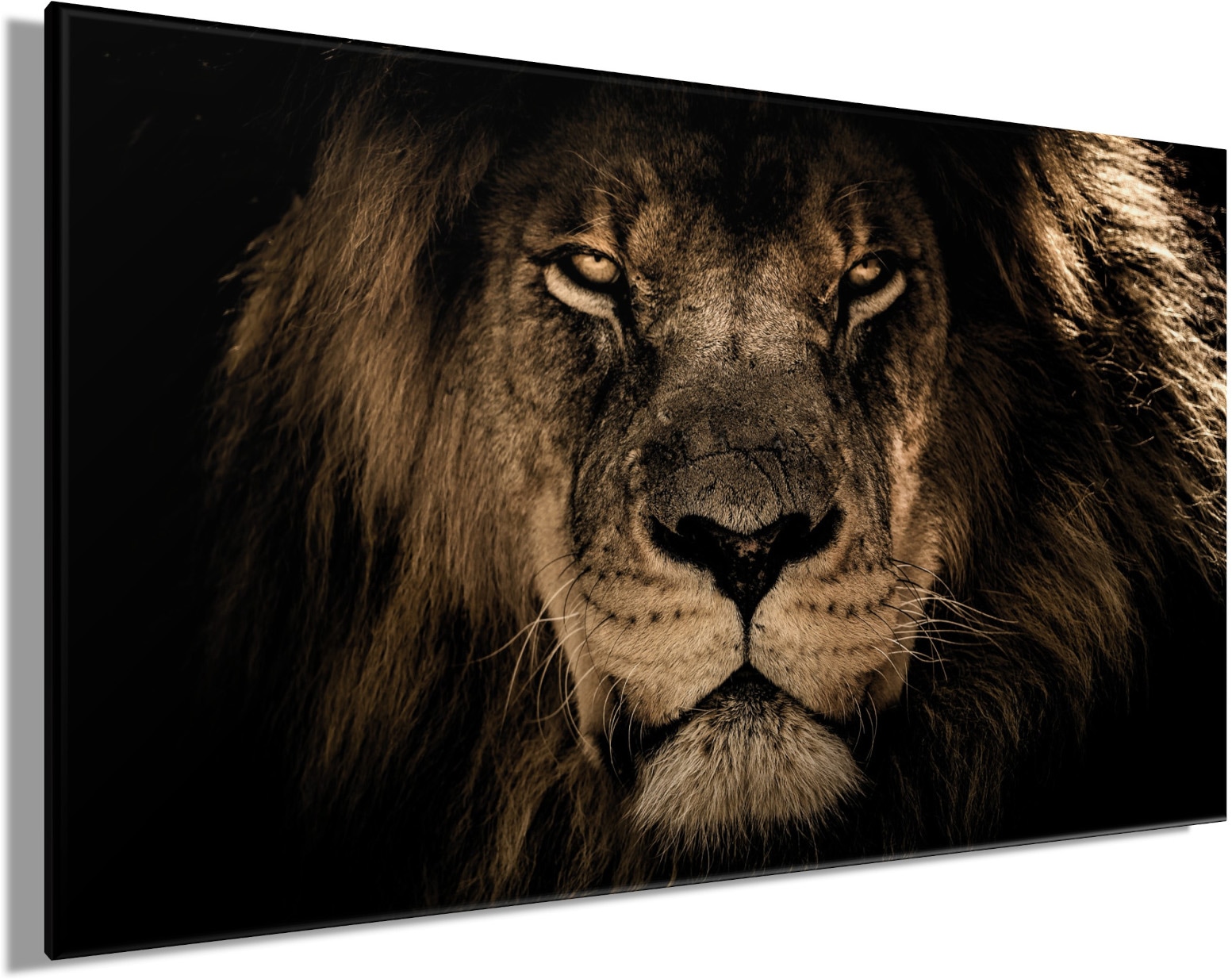 Bönninghoff Leinwandbild »Wandbild LÖWENKOPF XXL 90x150 cm – Leinwandbild Keilrahmen Deko modern« Löwe | Löwen | Wildtiere 1 Stk. tlg. auf Keilrahmen gespannt