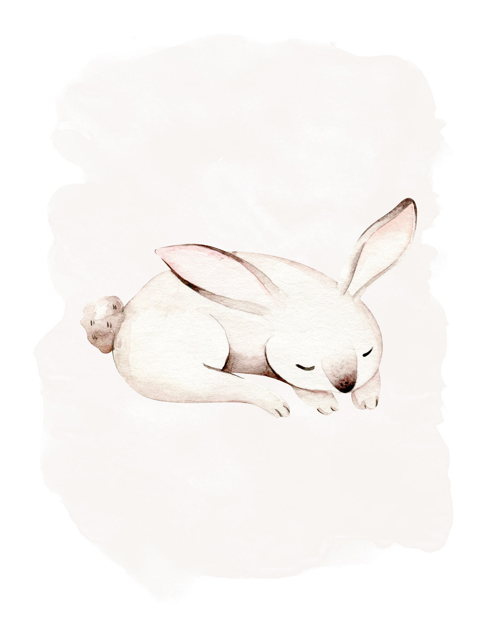 Komar Bild "Sleepy Bunny" Natur 1 Stk. tlg. Wandbild zur Dekoration - ohne günstig online kaufen