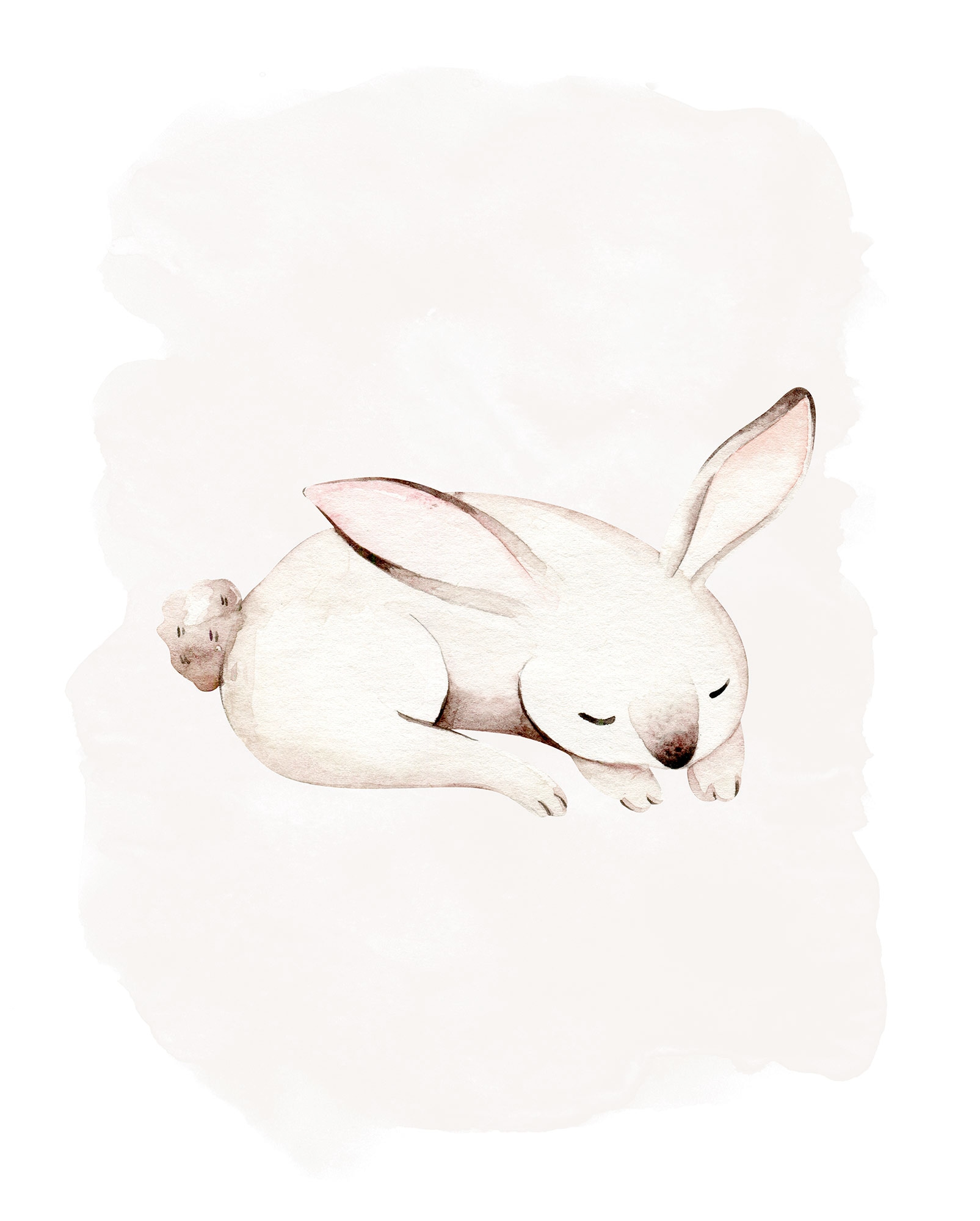 Komar Bild "Sleepy Bunny" Natur 1 tlg. Wandbild zur Dekoration - ohne Rahme günstig online kaufen