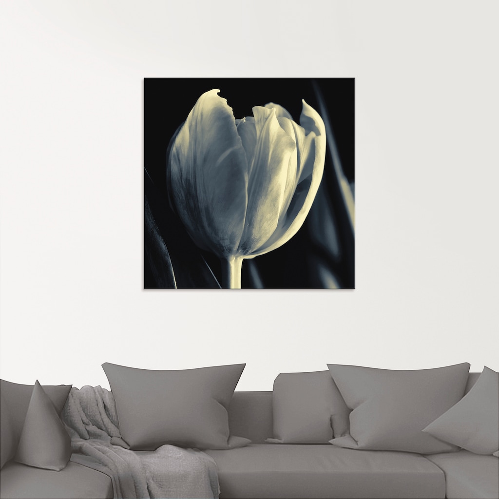 Artland Glasbild »Tulpe«, Blumen, (1 St.)