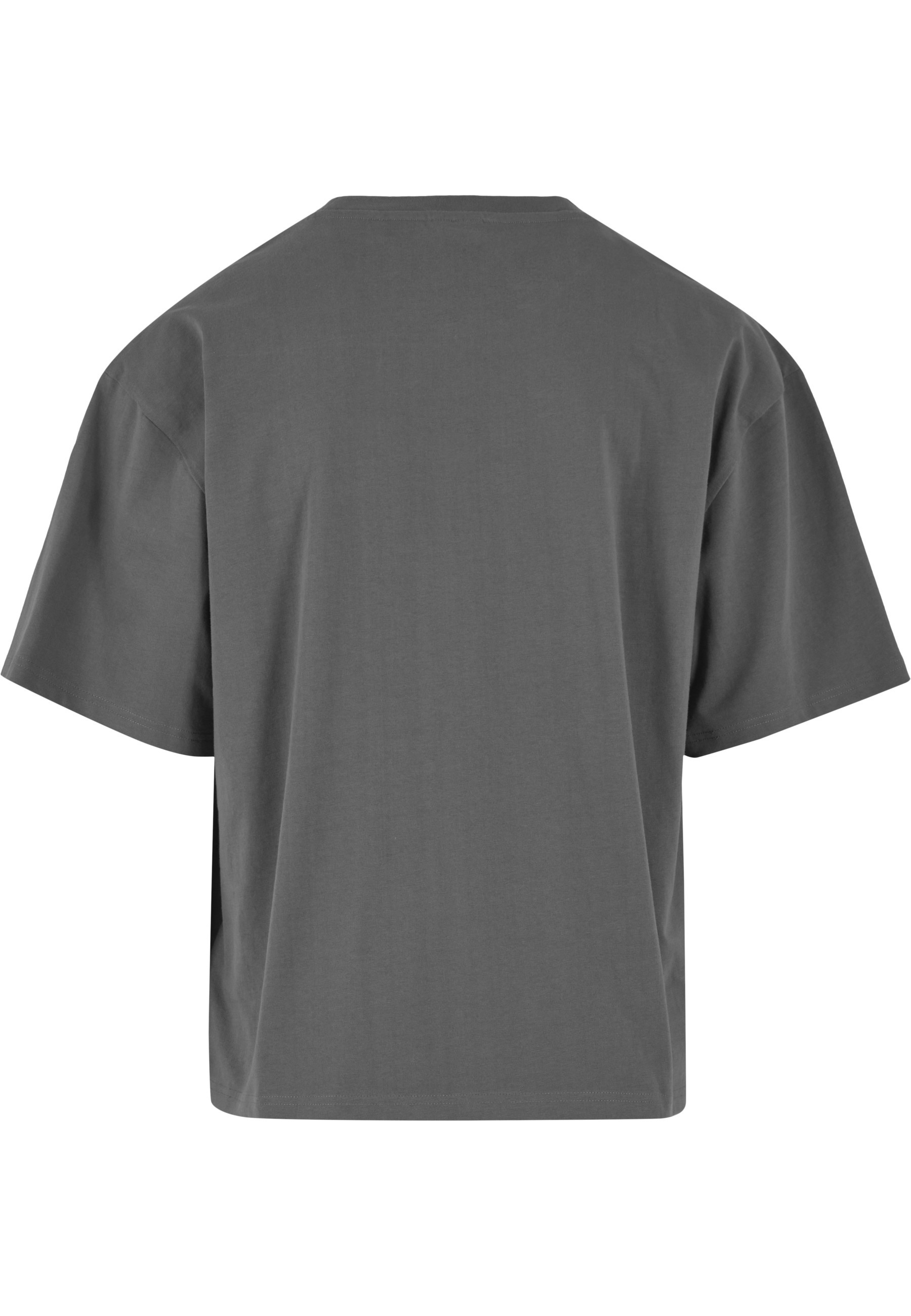 Karl Kani T-Shirt »Karl Kani Kani Usa Boxy T-Shirt« 1