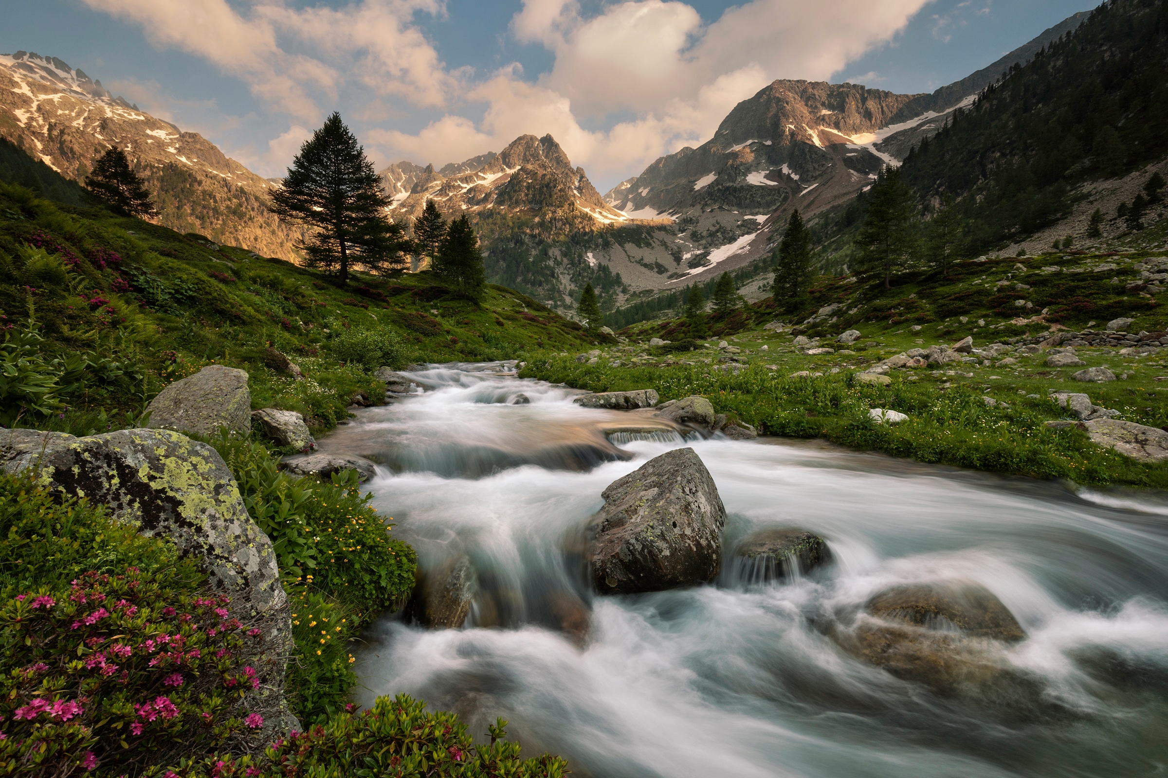 Papermoon Fototapete »Photo-Art PAOLO BOLLA, MARITIME ALPEN PARK«