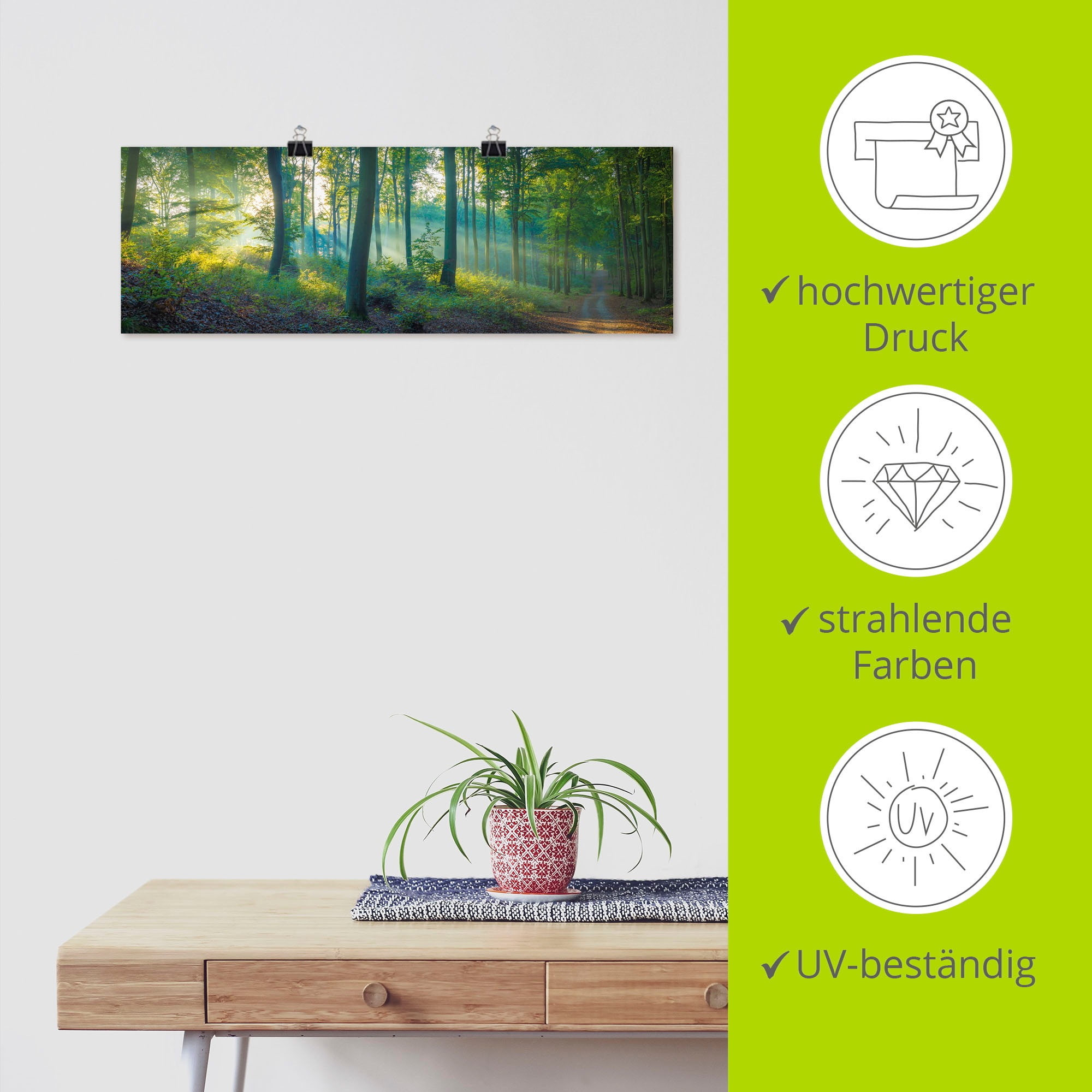 Artland Wandbild »Wald Panorama«, Waldbilder, (1 St.), als Alubild, Outdoorbild, Leinwandbild, Poster, Wandaufkleber
