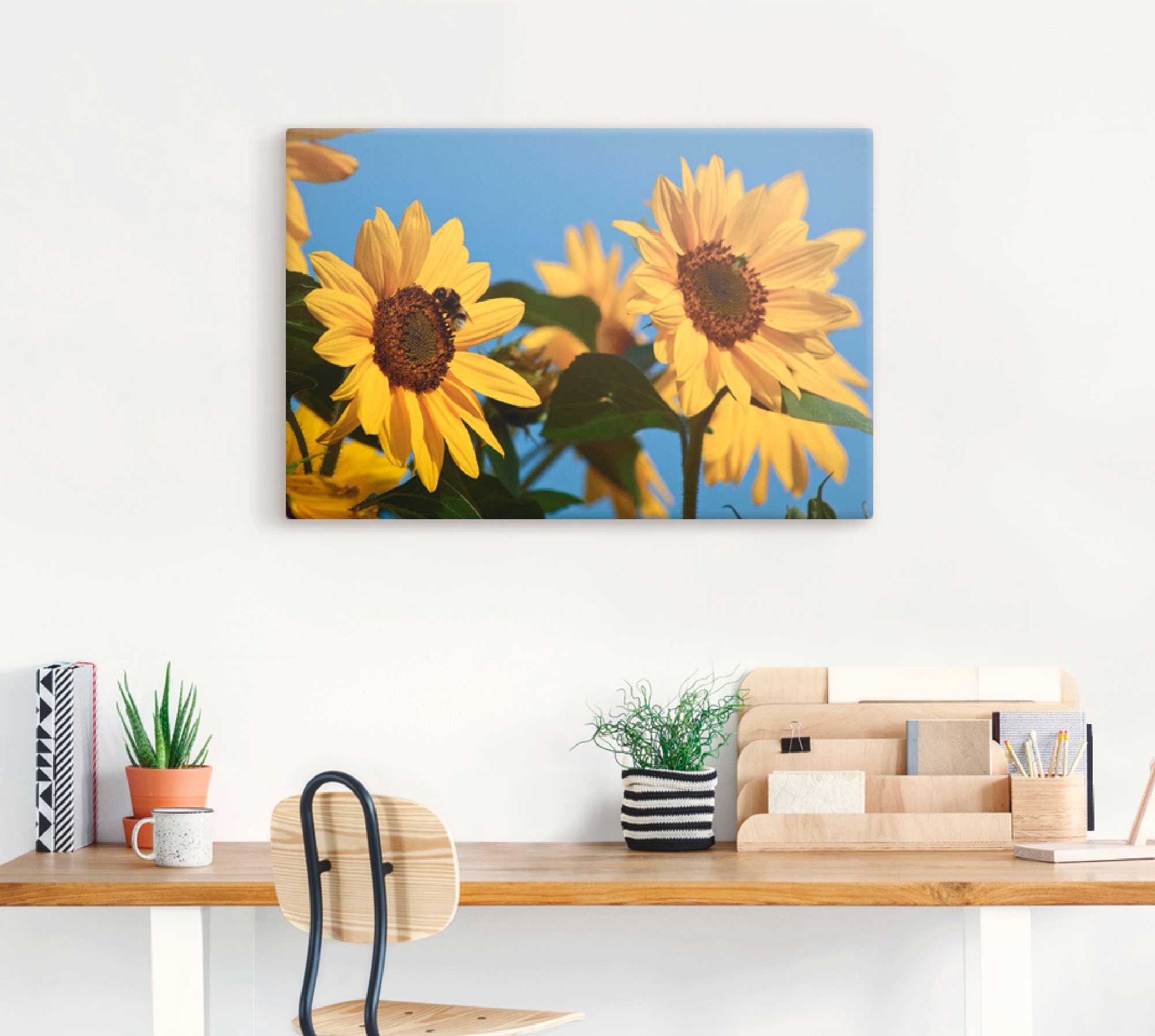 Thumbnail - Artland Leinwandbild "Sonnenblumen", Blumen, (1 St.), auf Keilrahmen gespannt