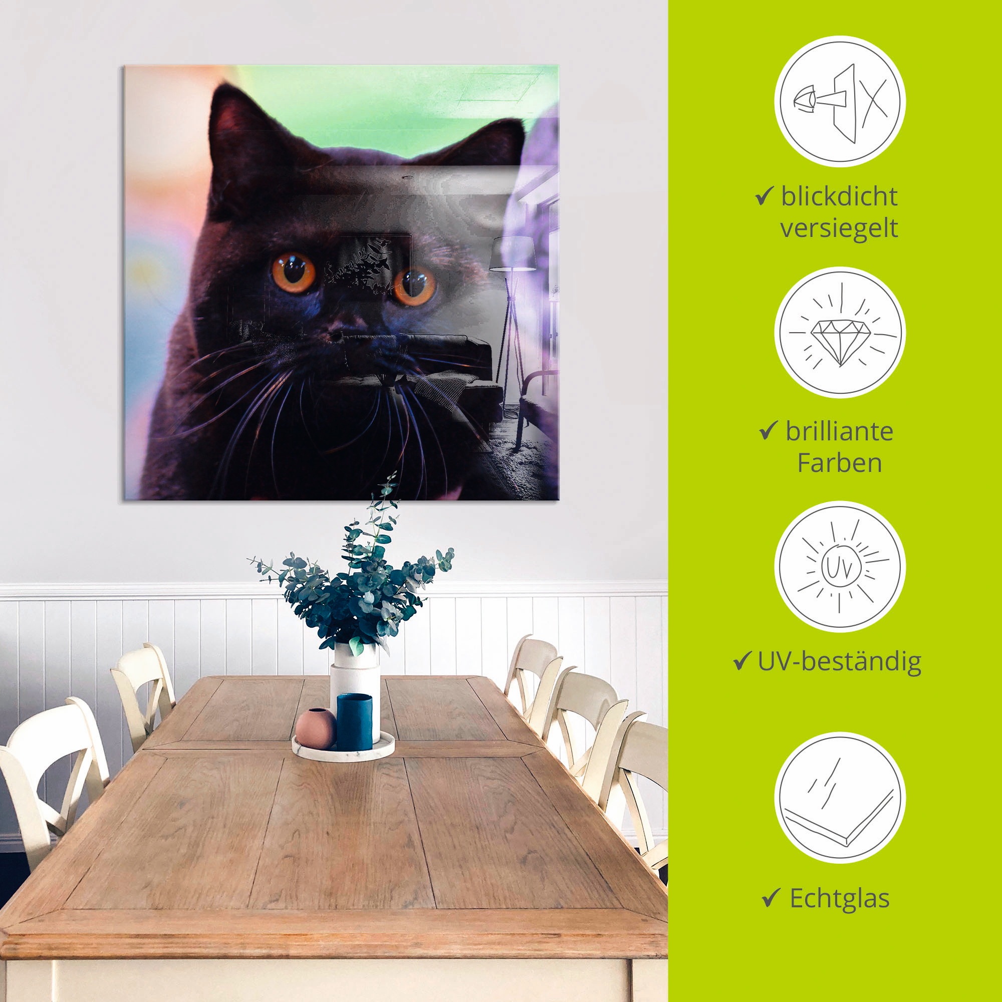 Artland Glasbild »Schwarze Britisch Kurzhaarkatze«, Haustiere, (1 St.), in verschiedenen Größen