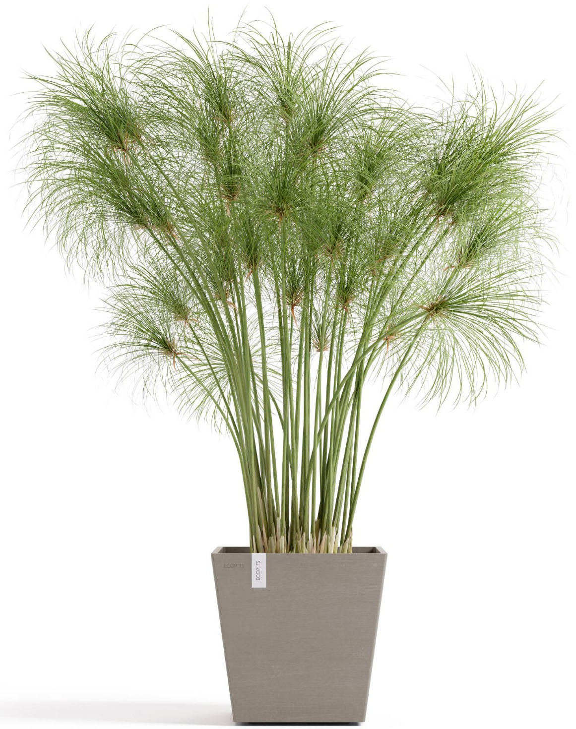 ECOPOTS Blumentopf »Rotterdam 25 + Wassersystem Taupe« für innen und außen: frostsicher, bruchsicher und lichtbeständig