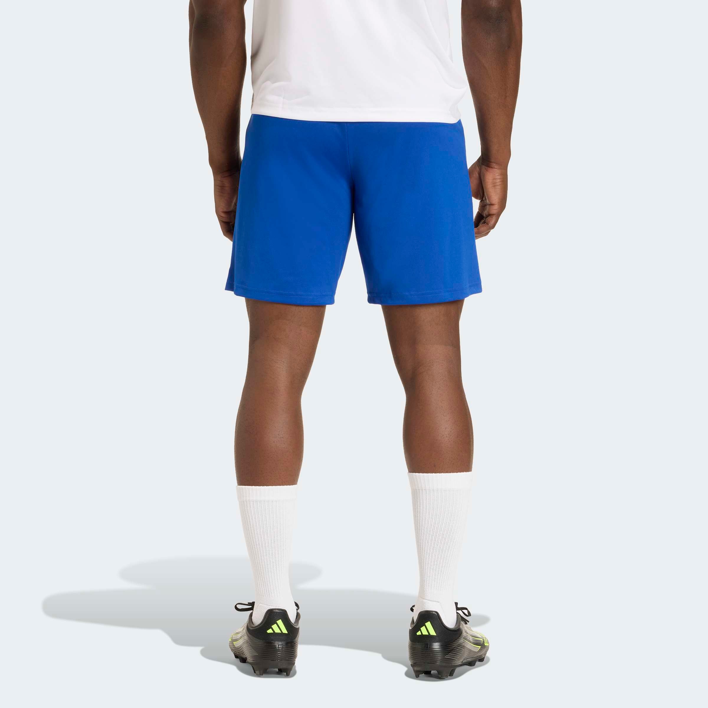 adidas Performance Trainingsshorts »ENT26 SHO«