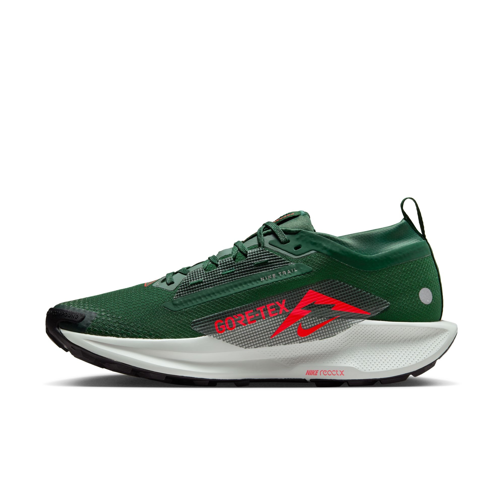 Nike Laufschuh »PEGASUS TRAIL 5 GTX«