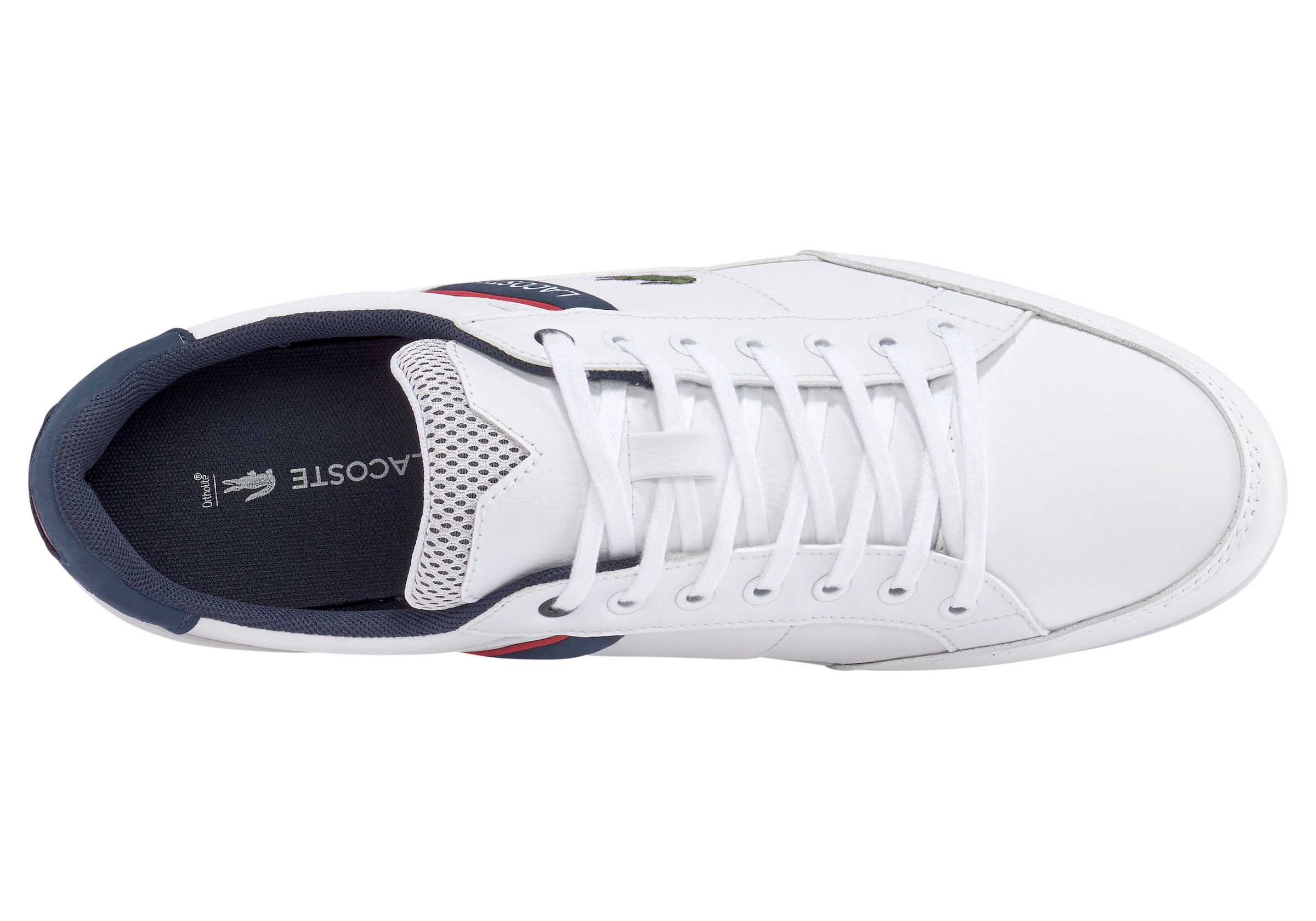 Lacoste Sneaker »CHAYMON 0120 2 CMA«