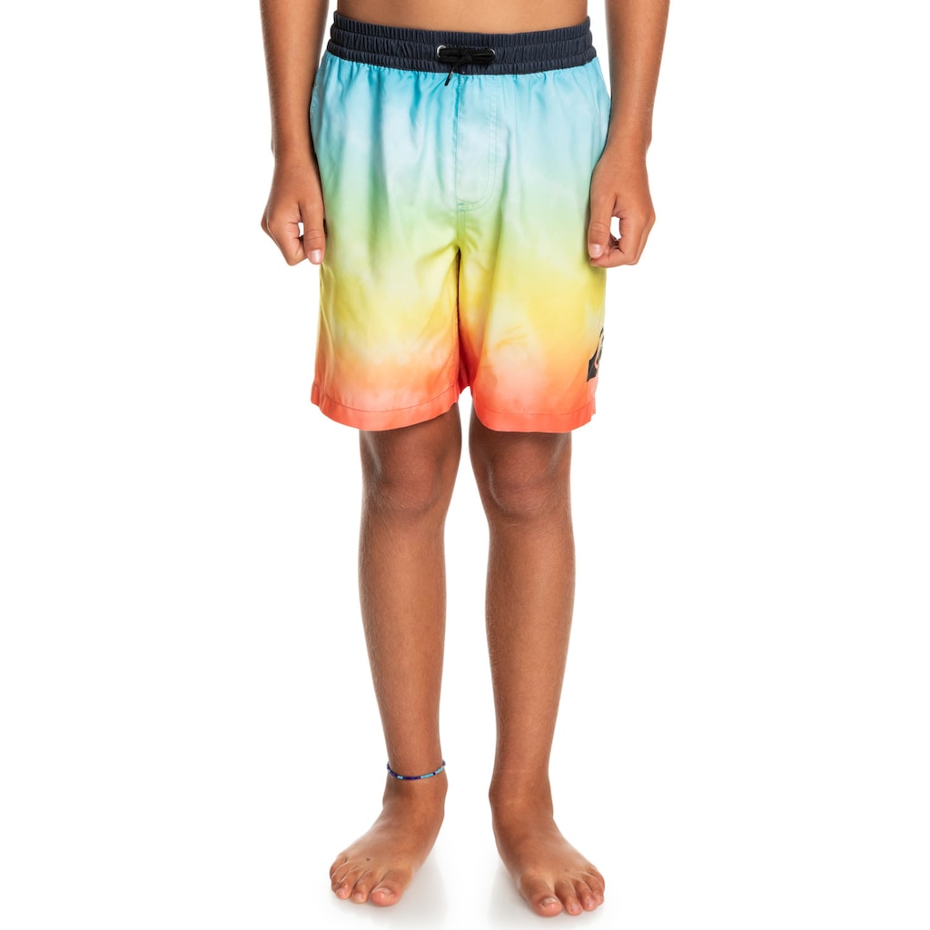 Quiksilver Badeshorts »Everyday Faded Logo 15"«