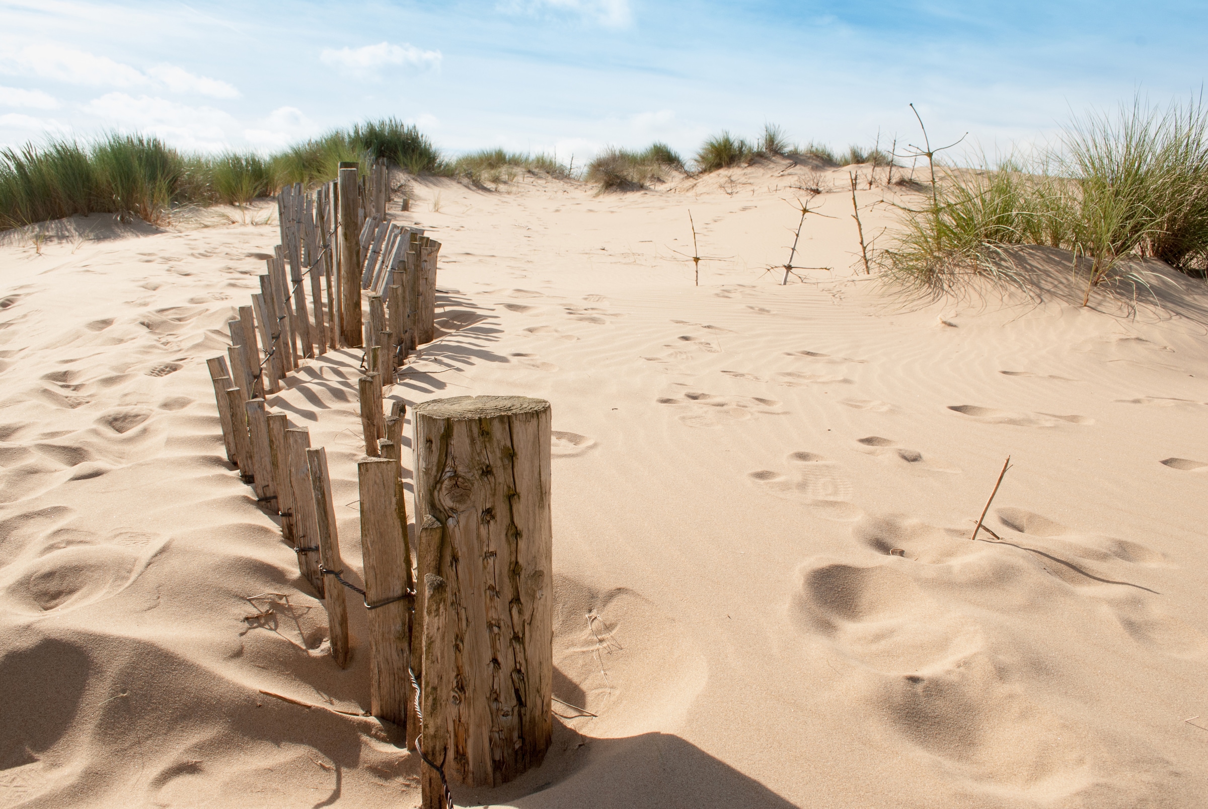 Papermoon Fototapete "Dunes Sandy Beach" glatt