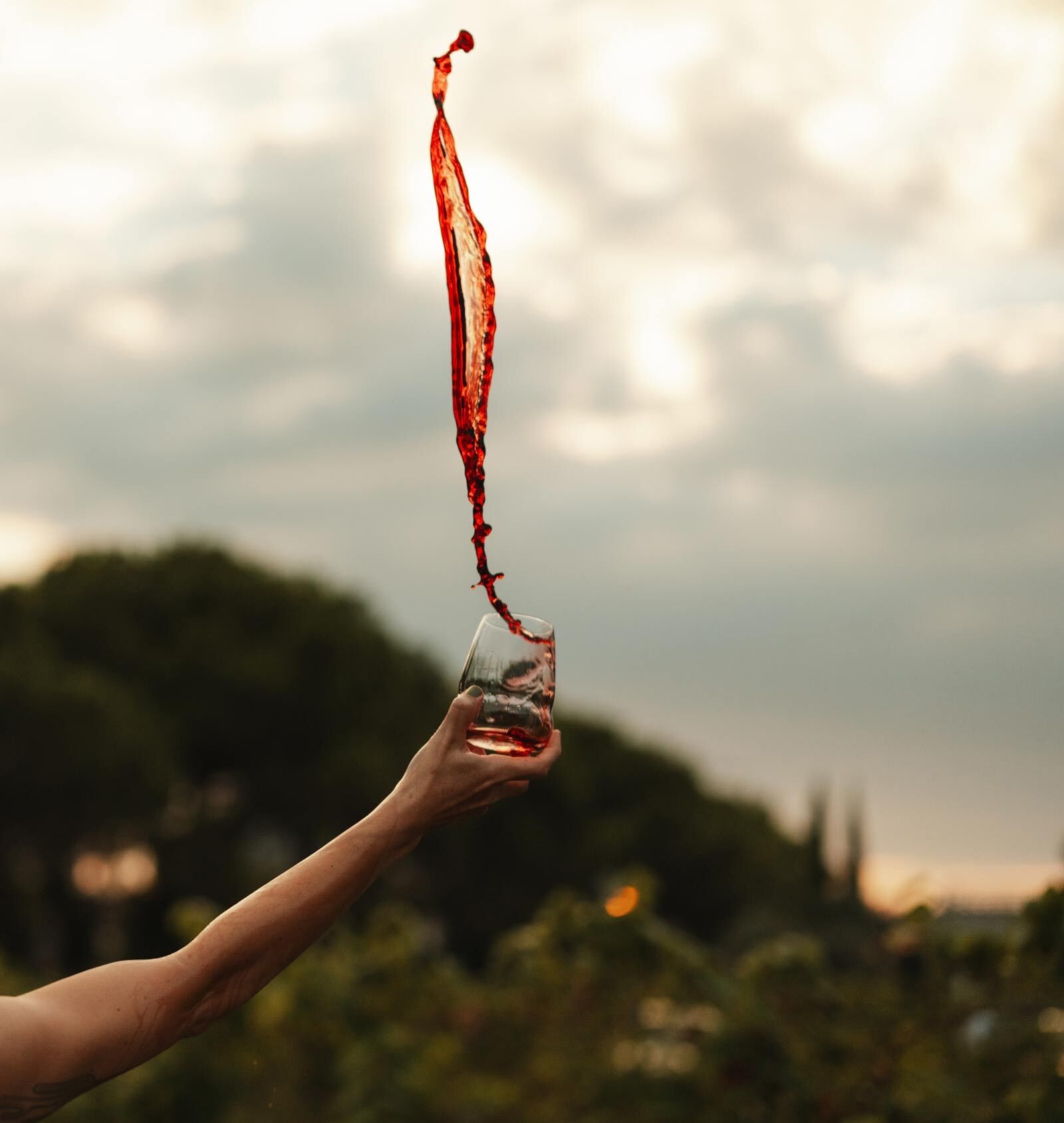 Thumbnail - Stölzle Rotweinglas "Rotweinbecher Cocoon 556 ml 6er Set transparent"