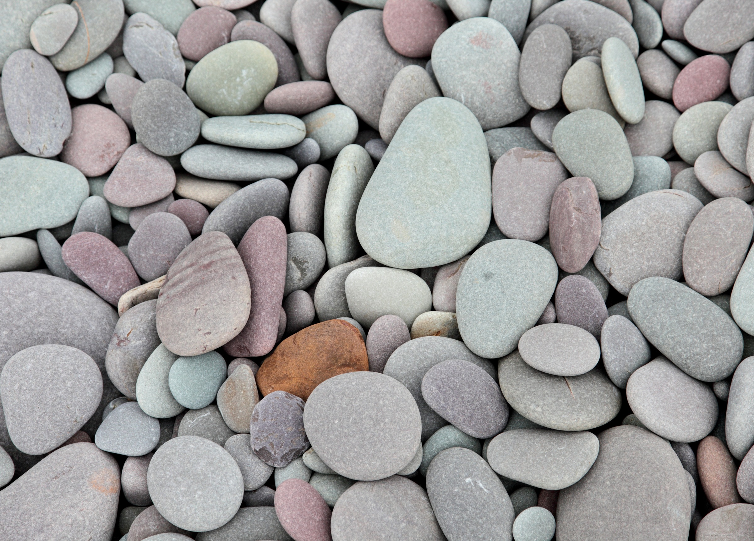 Papermoon Fototapete »Pebbles«
