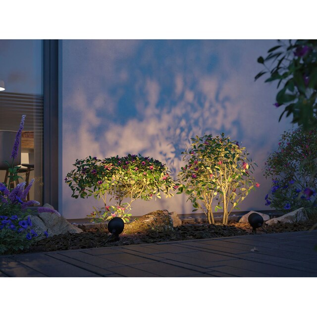 Paulmann LED Gartenleuchte »Outdoor 230V Spot Kikolo Insect friendly  ZigBee«, 1 flammig-flammig, Insektenfreundlich bestellen | BAUR