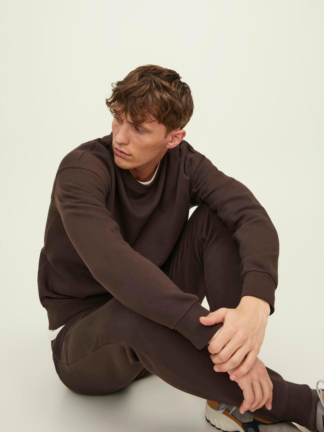 Jack & Jones Sweatshirt »JJESTAR BASIC SWEAT CREW NECK NOOS«