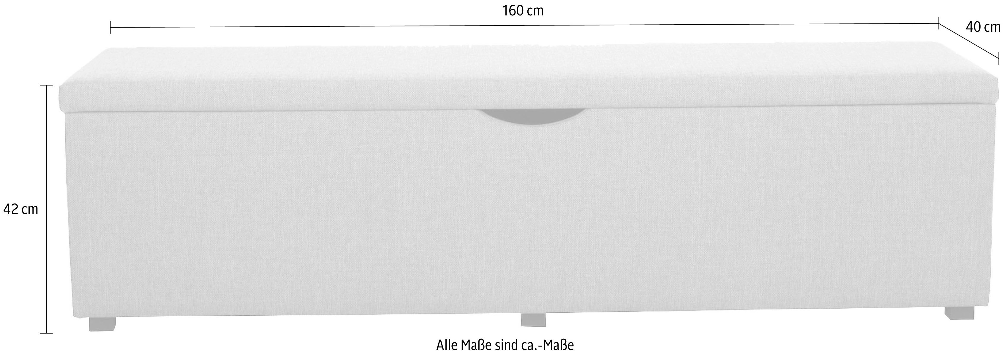Thumbnail - Places of Style Hockerbank "Standard", Breite 120cm oder 160cm, auch als Garderobenbank oder Bettbank