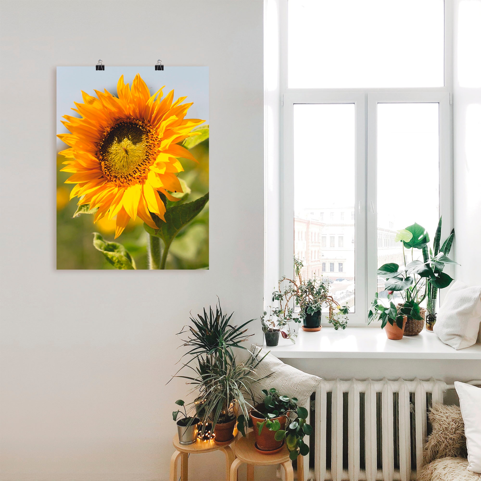 Artland Wandbild »Sonnenblume«, Blumen, (1 St.), als Leinwandbild, Poster, Wandaufkleber in verschied. Größen