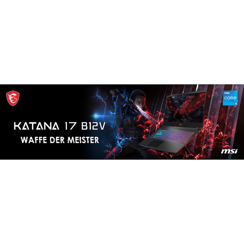 MSI Gaming-Notebook »Katana 17 B12VFK-406«, 43,9 cm, / 17,3 Zoll, Intel, Core i7, GeForce RTX 4060, 1000 GB SSD