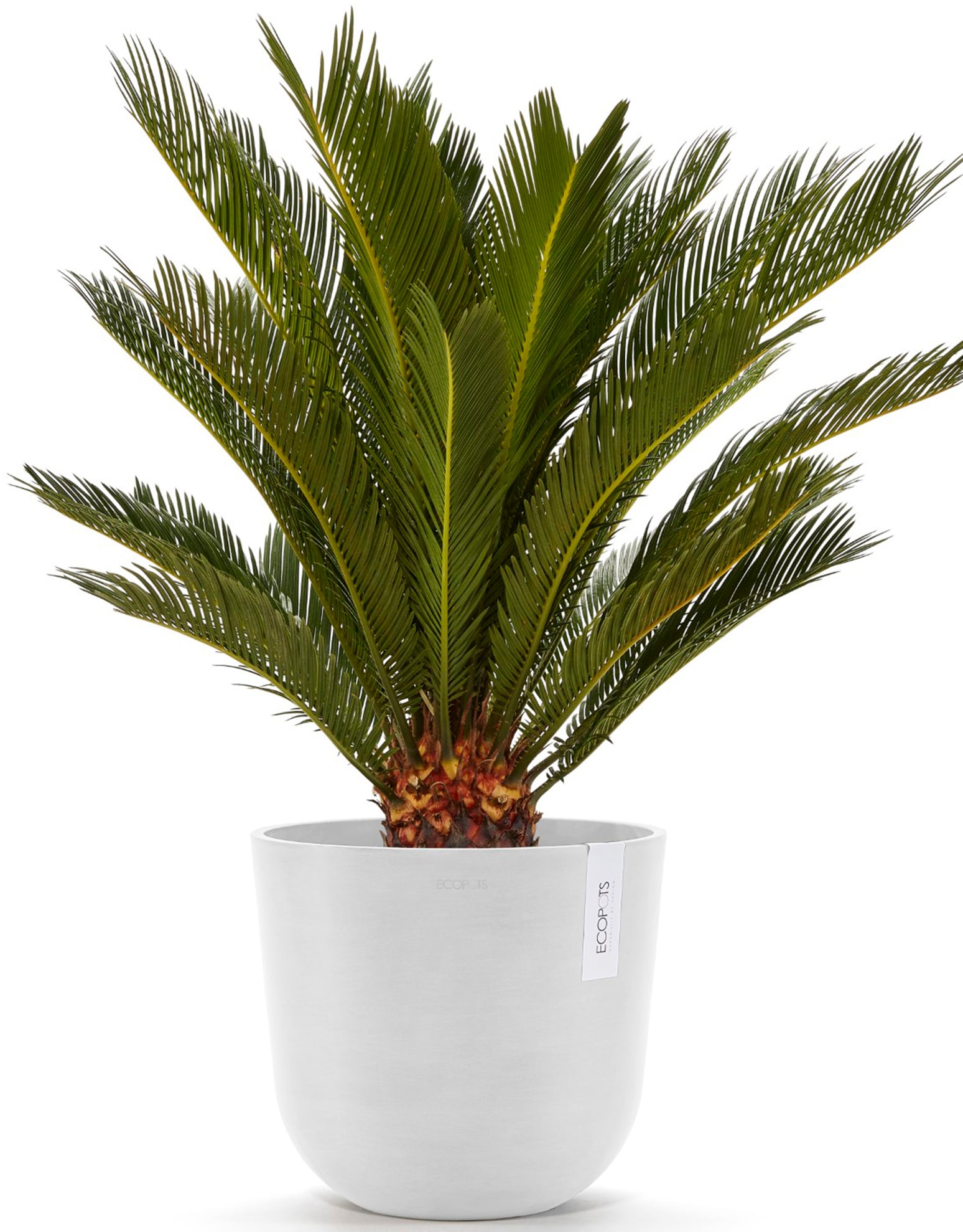 ECOPOTS Blumentopf »Oslo 25 + Wassersystem Weiß«, für innen und außen: frostsicher, bruchsicher und lichtbeständig