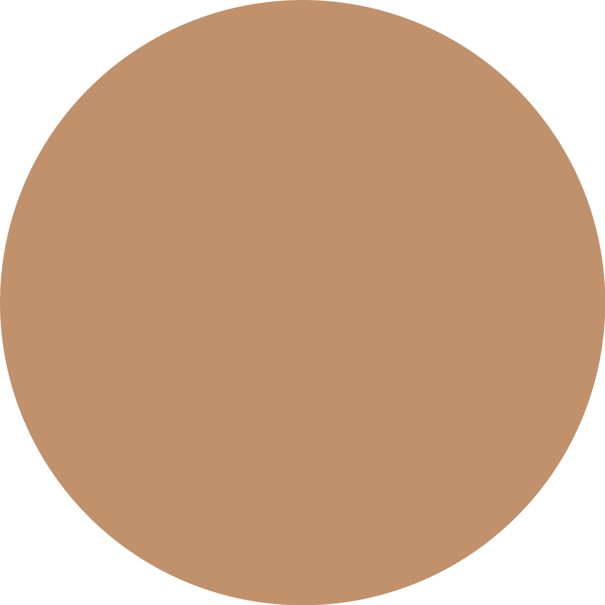 Essence Foundation »Silky BLUR HYDRATING LONGWEAR FOUNDATION«