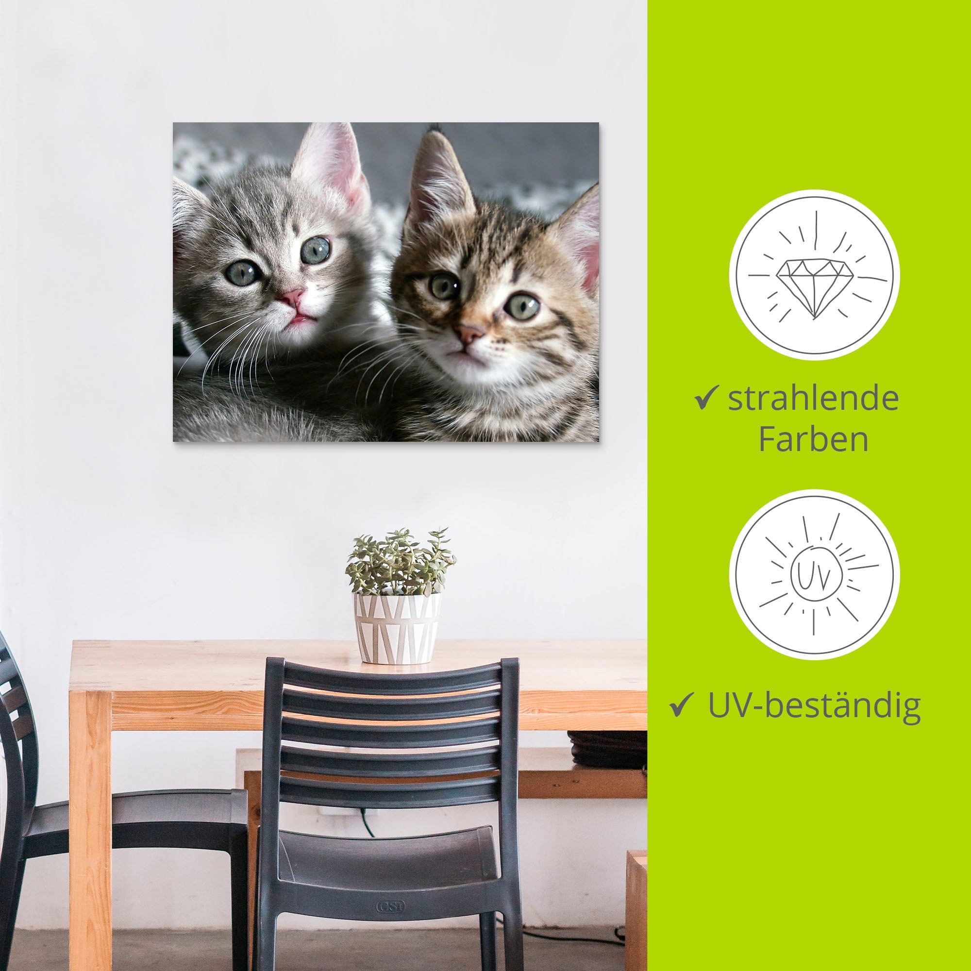 Artland Wandbild »Katze«, Haustiere, (1 St.), als Alubild, Outdoorbild, Leinwandbild, Poster, Wandaufkleber