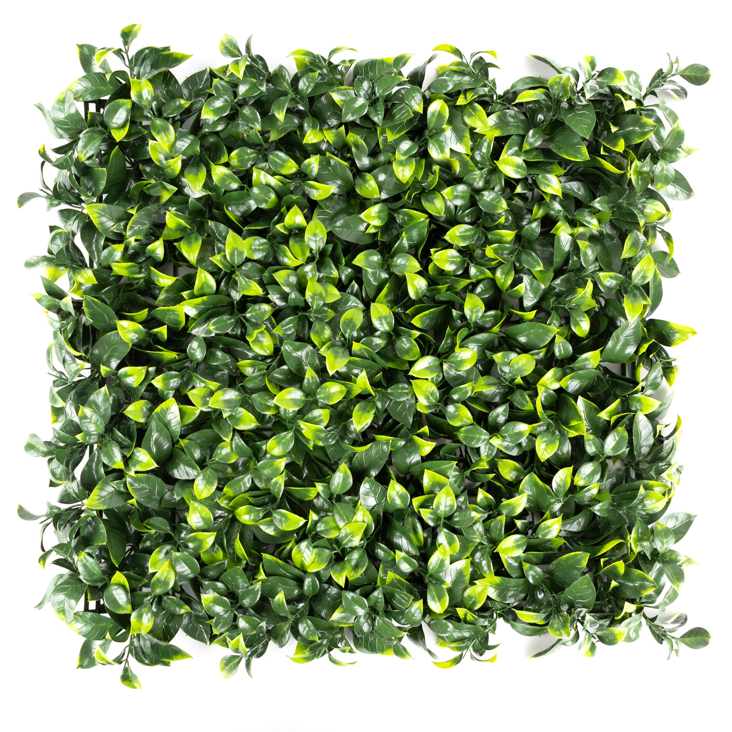 Primaflor-Ideen in Textil Kunstpflanze "Pflanzenwand, 50x50cm" Wanddeko, realistische Optik, In- und Outdoor geeignet, UV-beständig