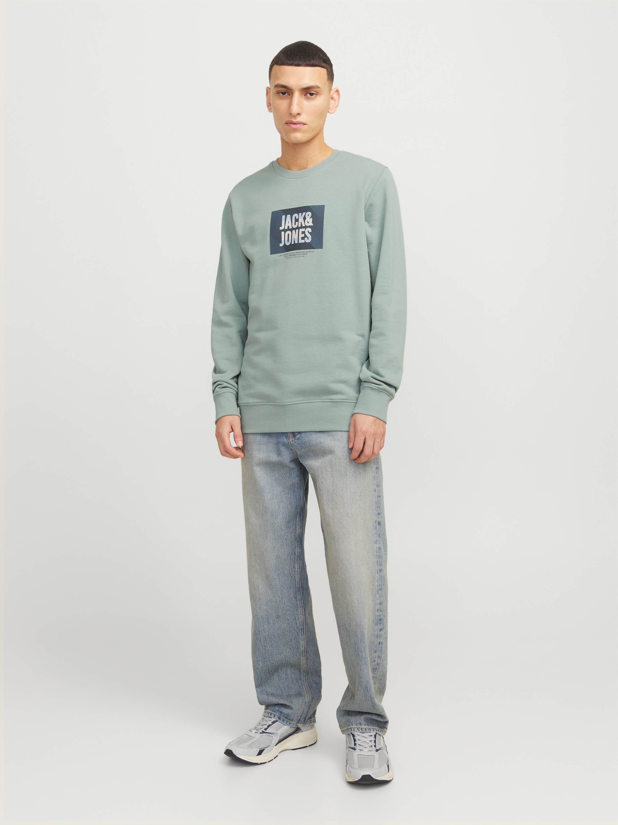 Jack & Jones Sweatshirt »JJHUDSON SWEAT CREW NECK«