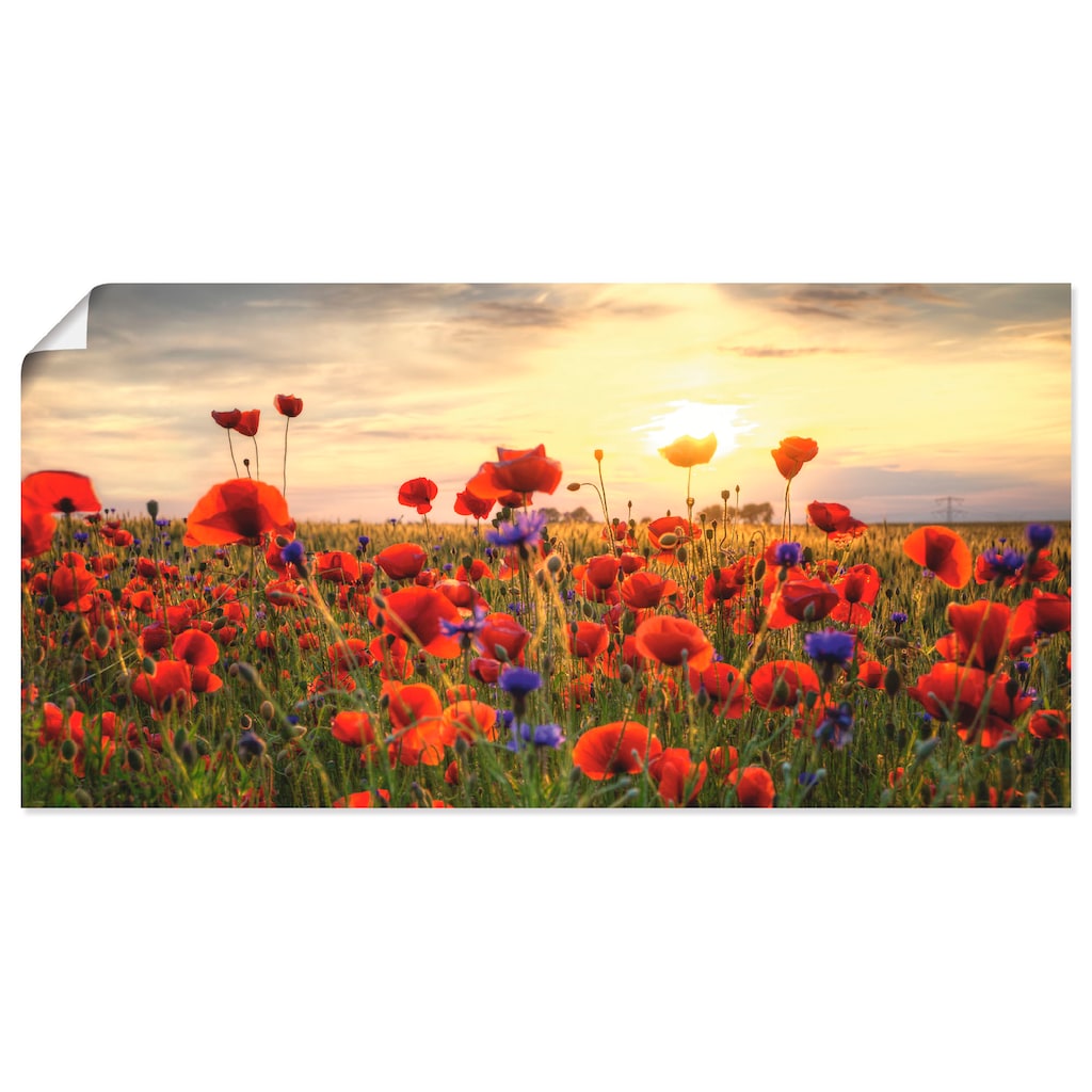 Artland Wandbild »Mohnblumen«, Blumen, (1 St.)