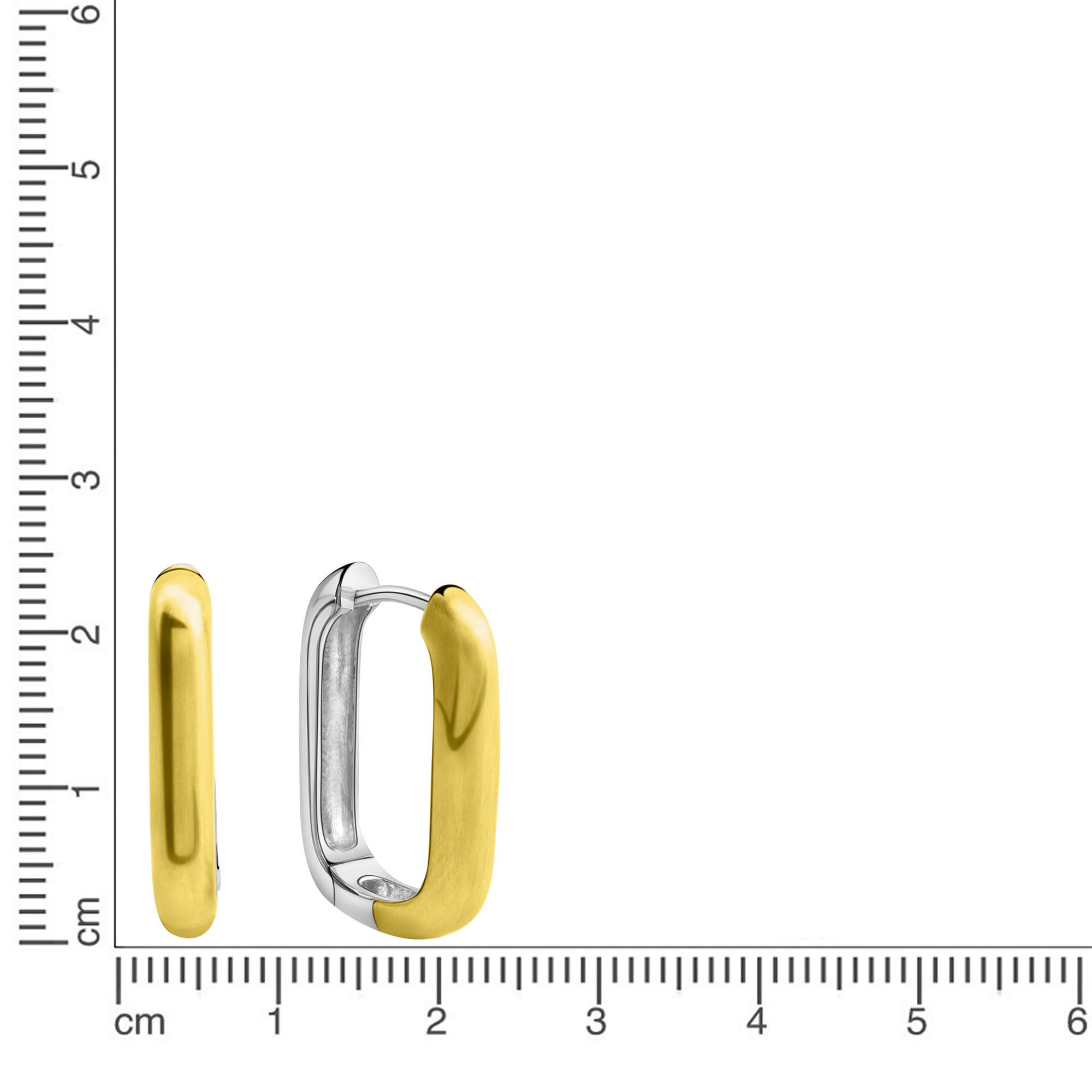 Firetti Paar Creolen »Schmuck Geschenk Silber 925 Ohrschmuck Ohrringe bicolor«