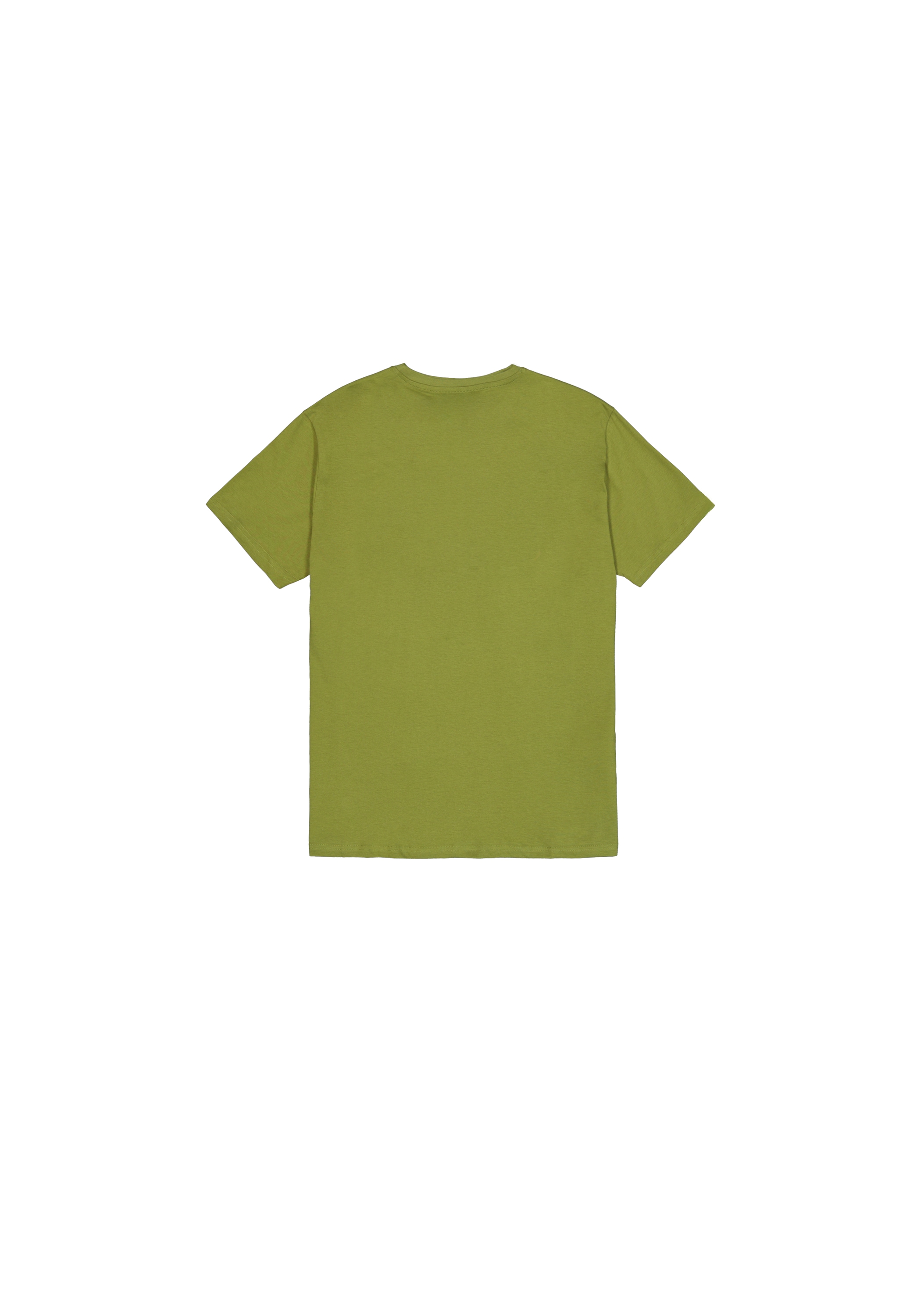 Alpha Industries T-Shirt »College Camo T-Shirt«