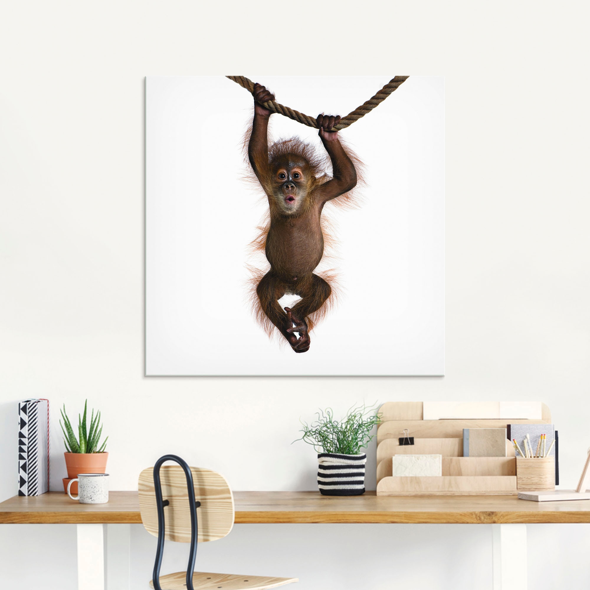 Artland Glasbild »Baby Orang Utan hängt an Seil II«, Wildtiere, (1 St.), in verschiedenen Größen