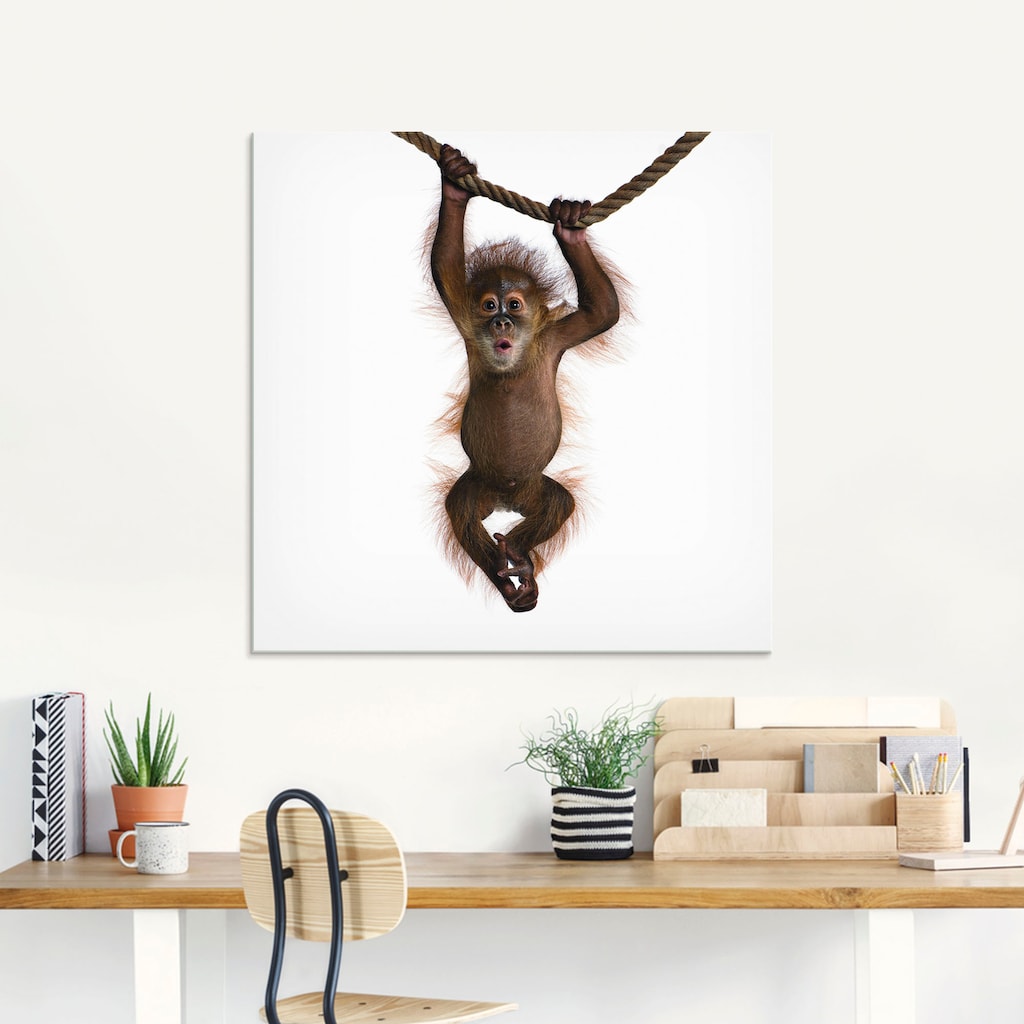 Artland Glasbild »Baby Orang Utan hängt an Seil II«, Wildtiere, (1 St.)