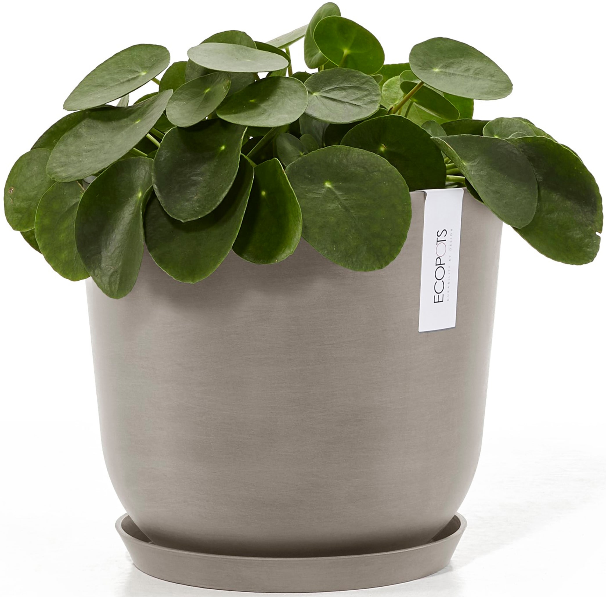 ECOPOTS Blumentopf »Oslo 25 + Wassersystem Taupe«, für innen und außen: frostsicher, bruchsicher und lichtbeständig