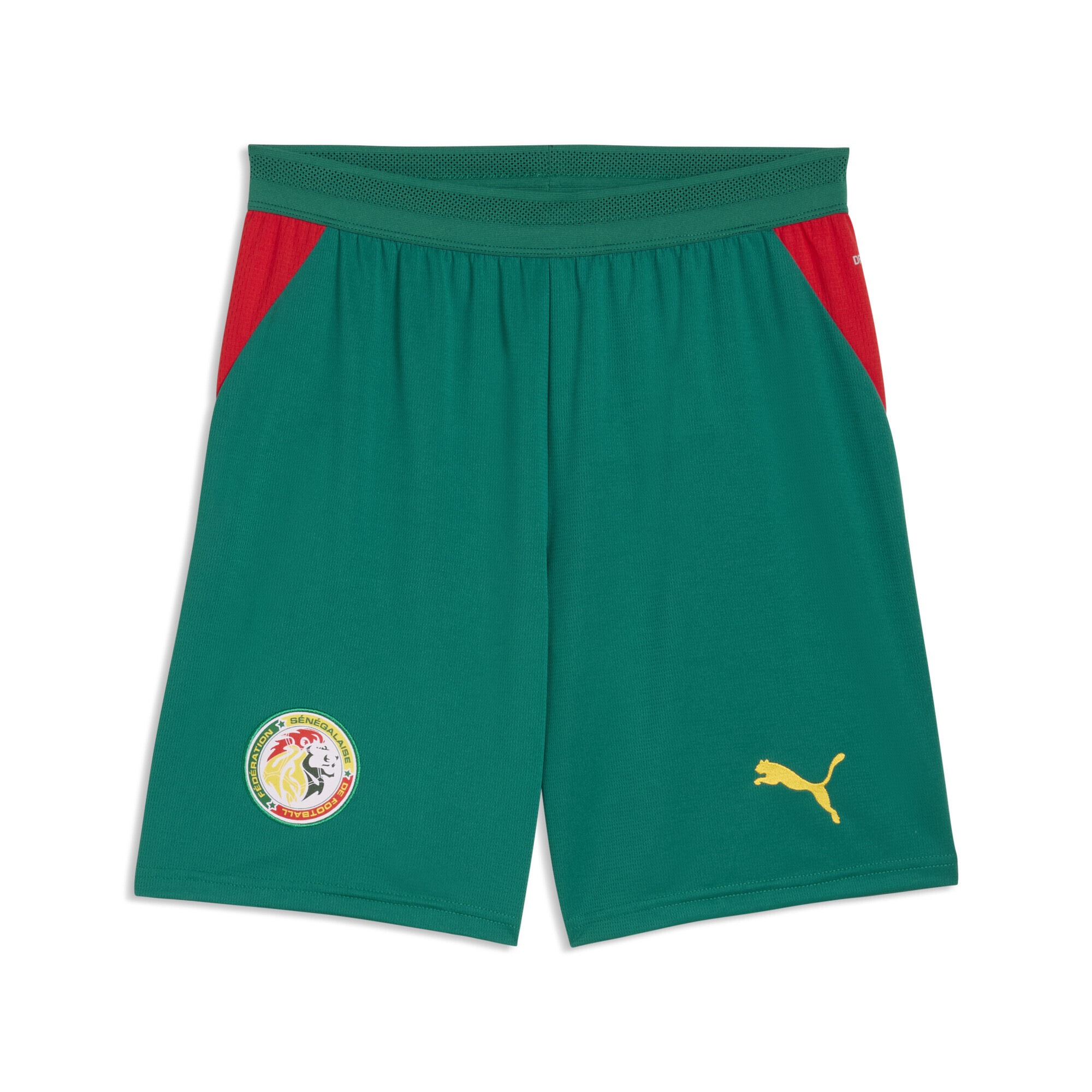 PUMA Sporthose "Senegal Shorts Herren"