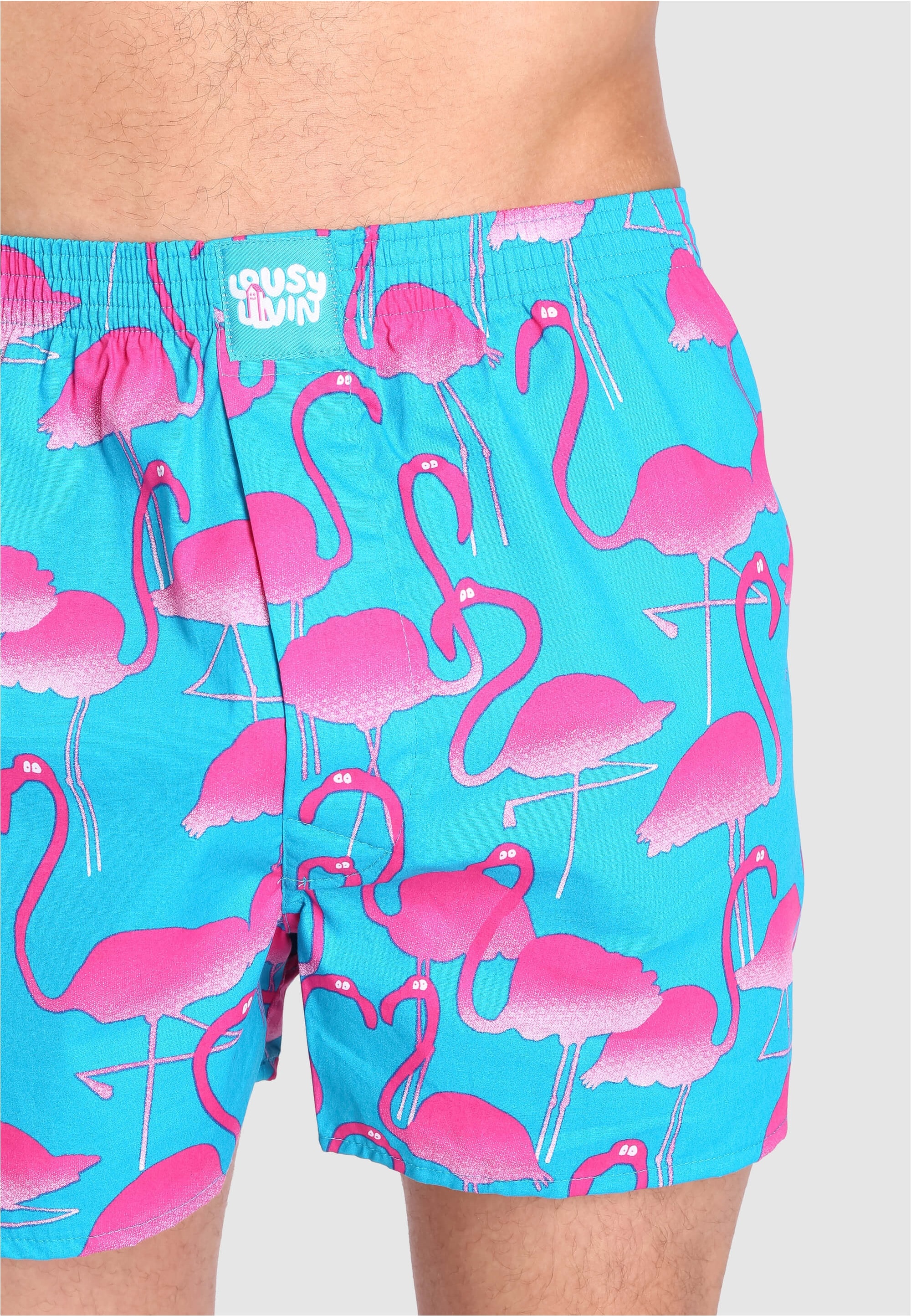 Lousy Livin Boxershorts »Flamingo«, mit trendigem Flamingo-Print