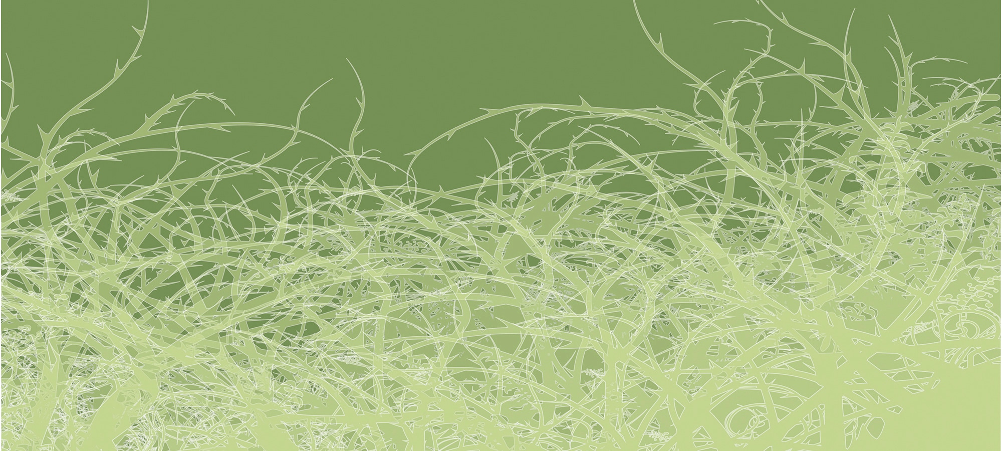 Architects Paper Fototapete "Atelier 47 Thorn Style 1" floral glatt Vlies, Wand, Schräge, Decke